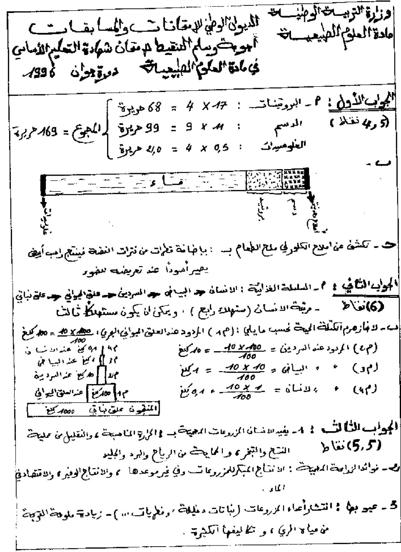 الصفحة 1 من 3
