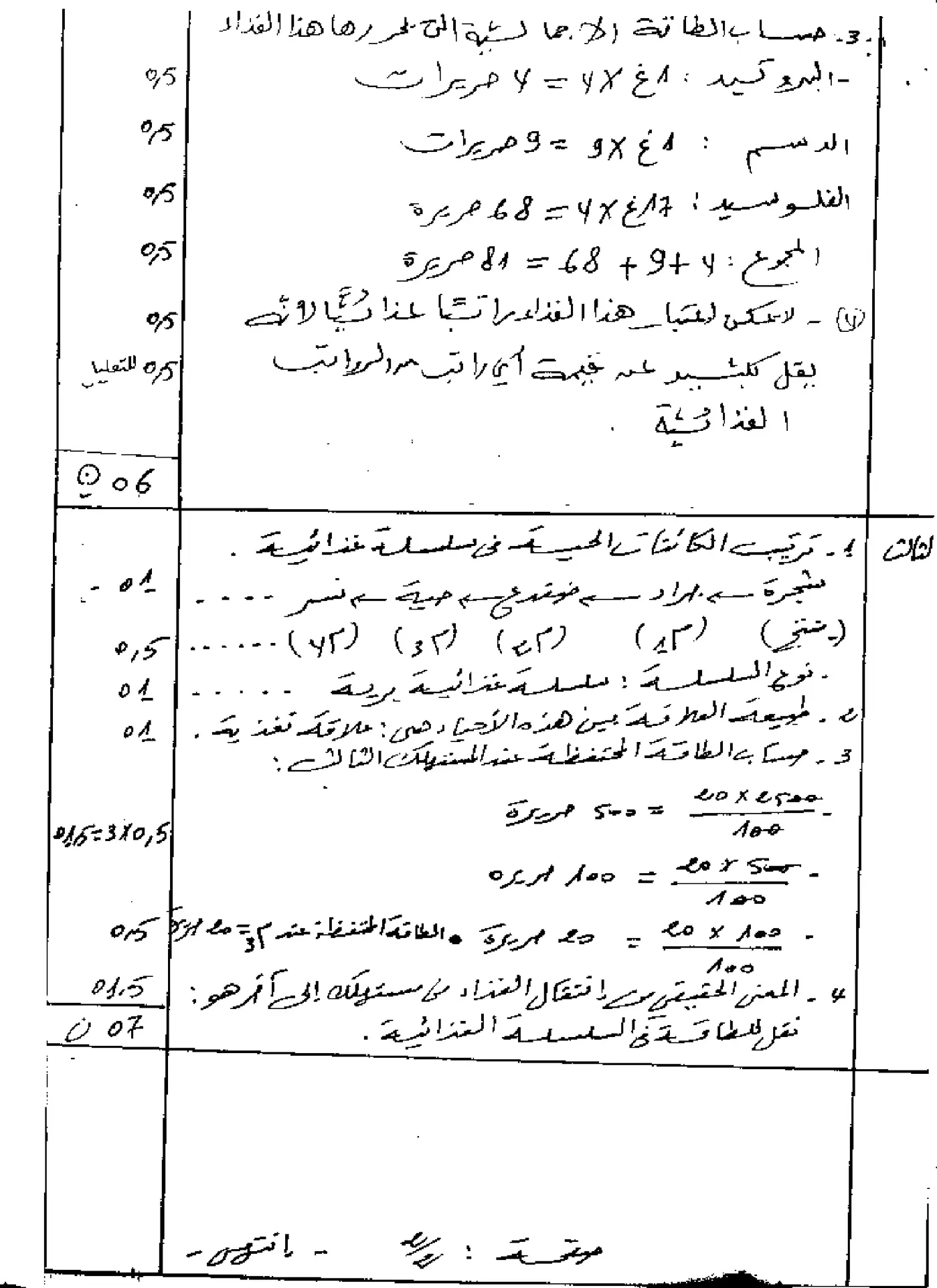 الصفحة 3 من 3