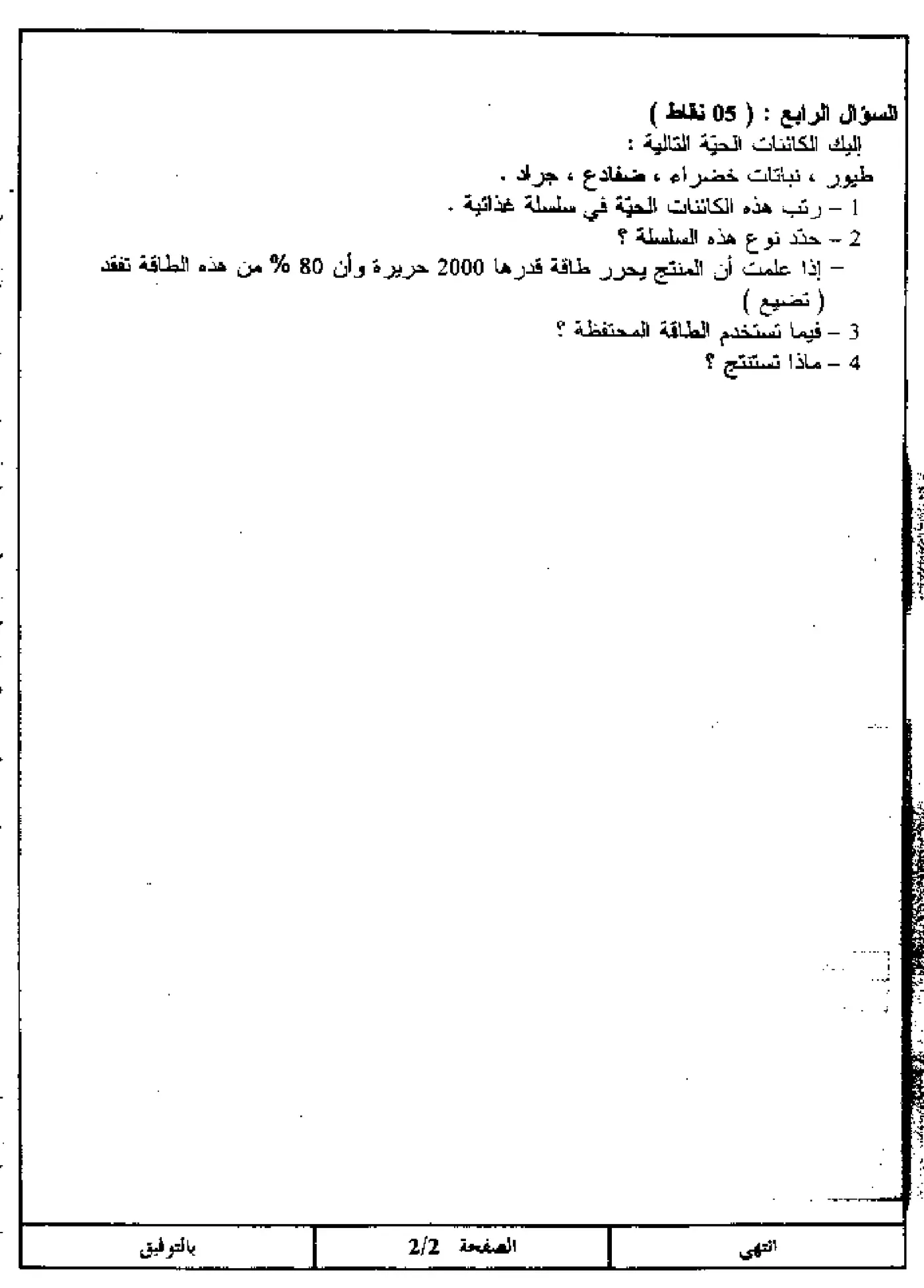 الصفحة 2 من 4