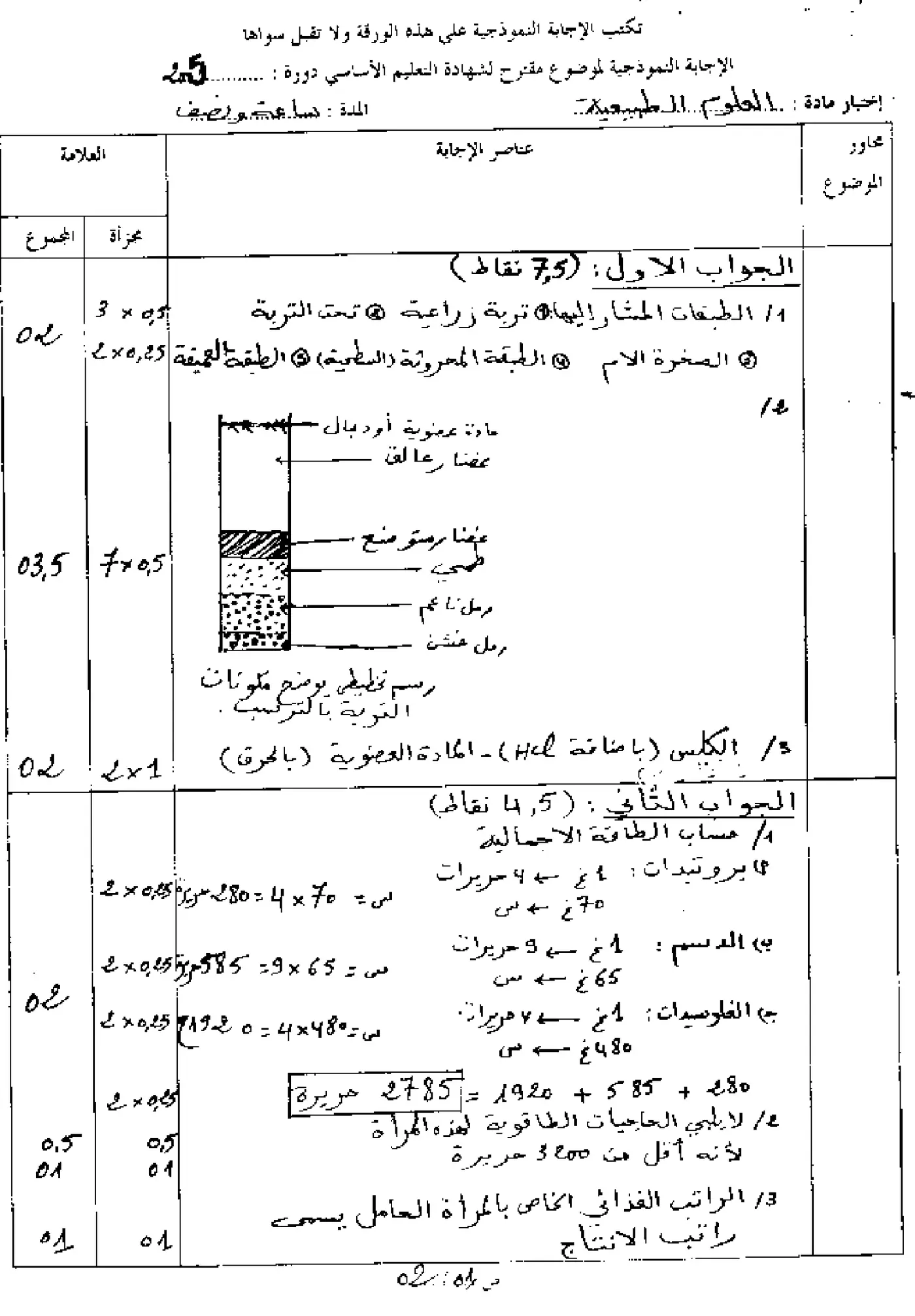 الصفحة 3 من 4