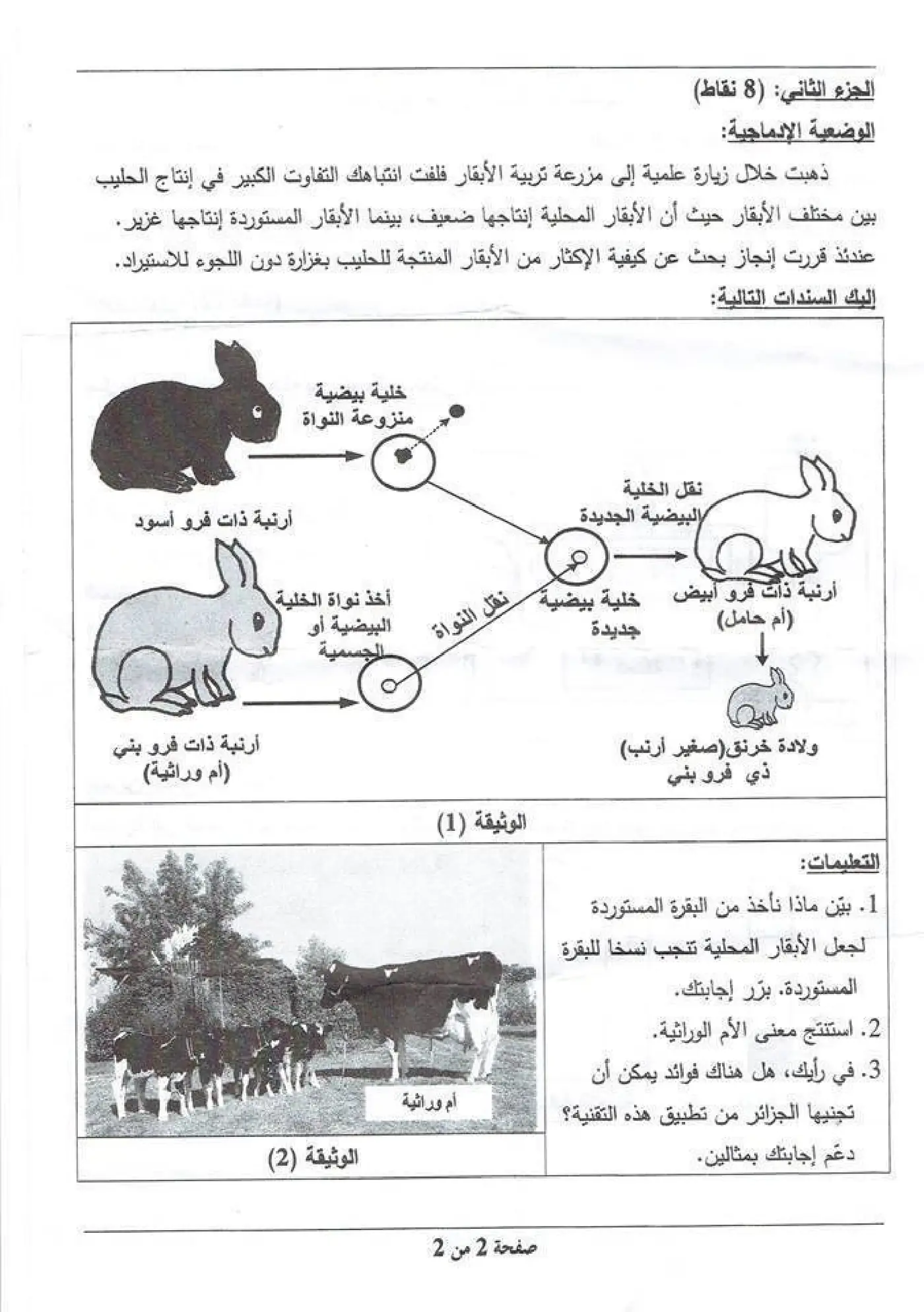 الصفحة 2 من 2