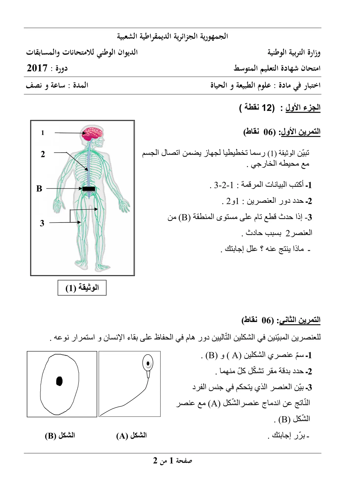 الصفحة 1 من 2