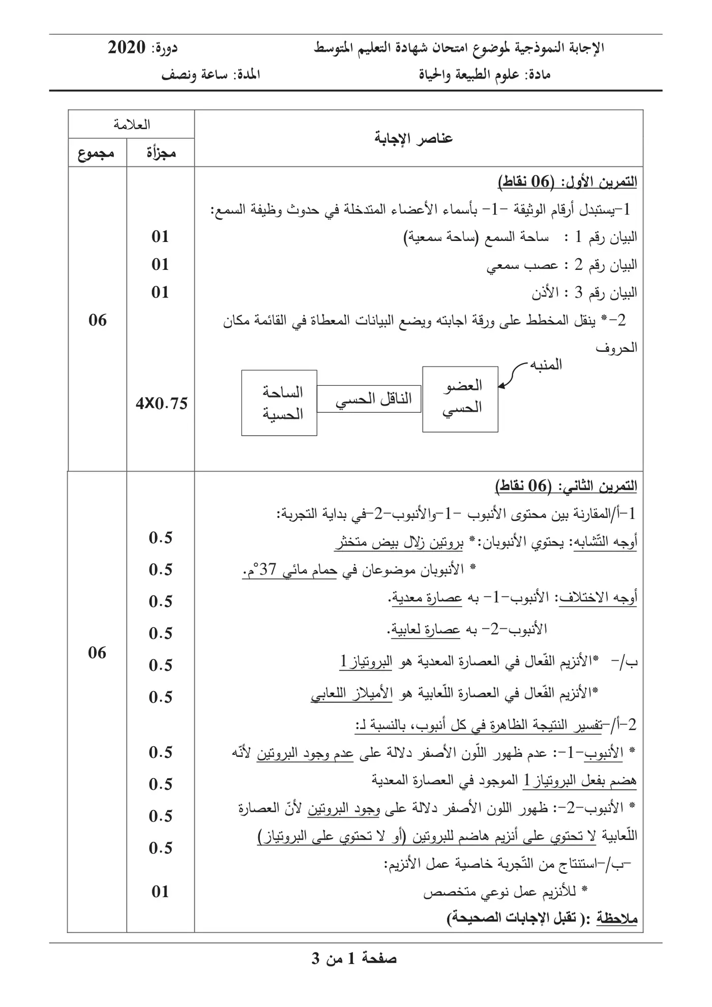 الصفحة 1 من 3