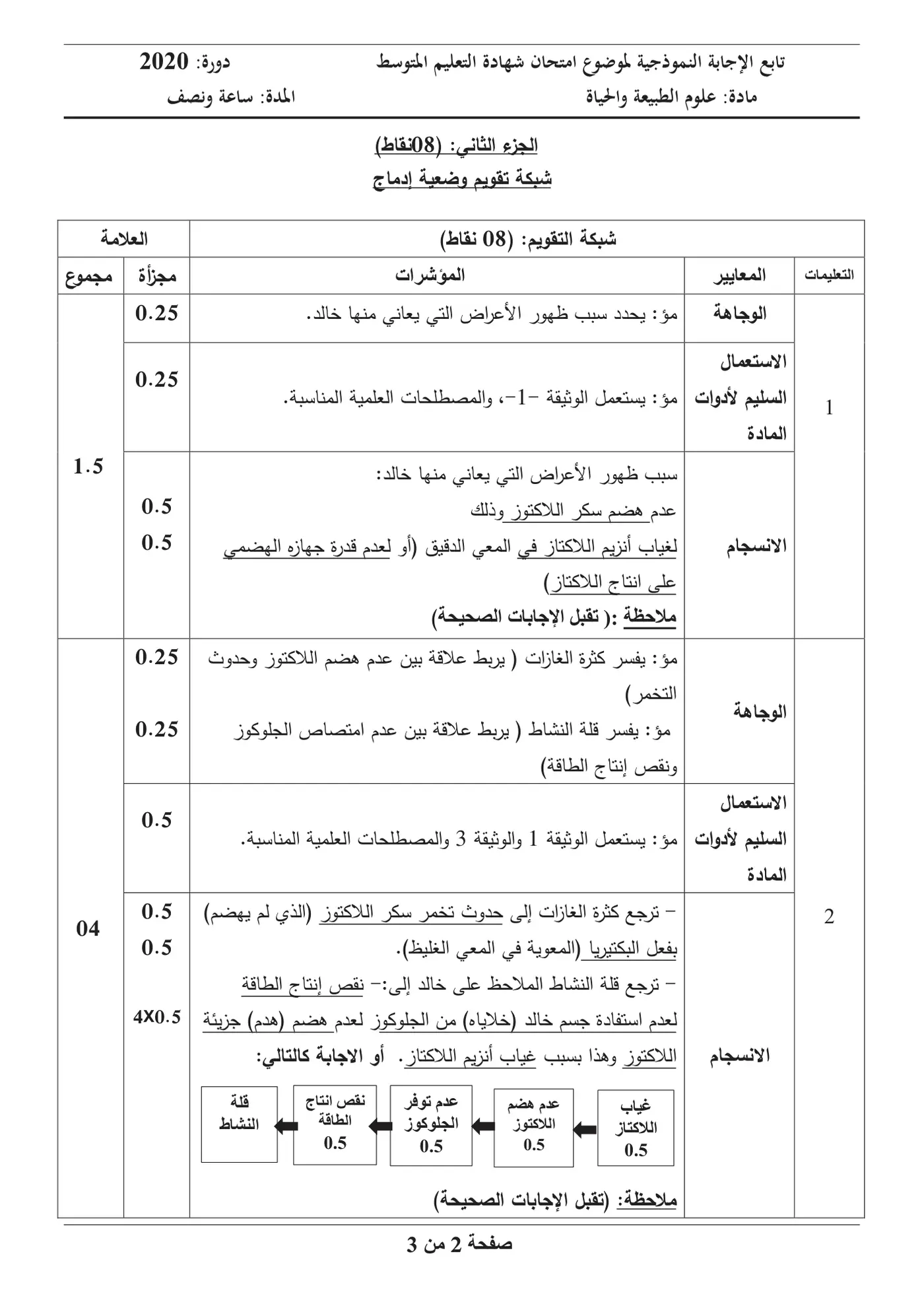 الصفحة 2 من 3