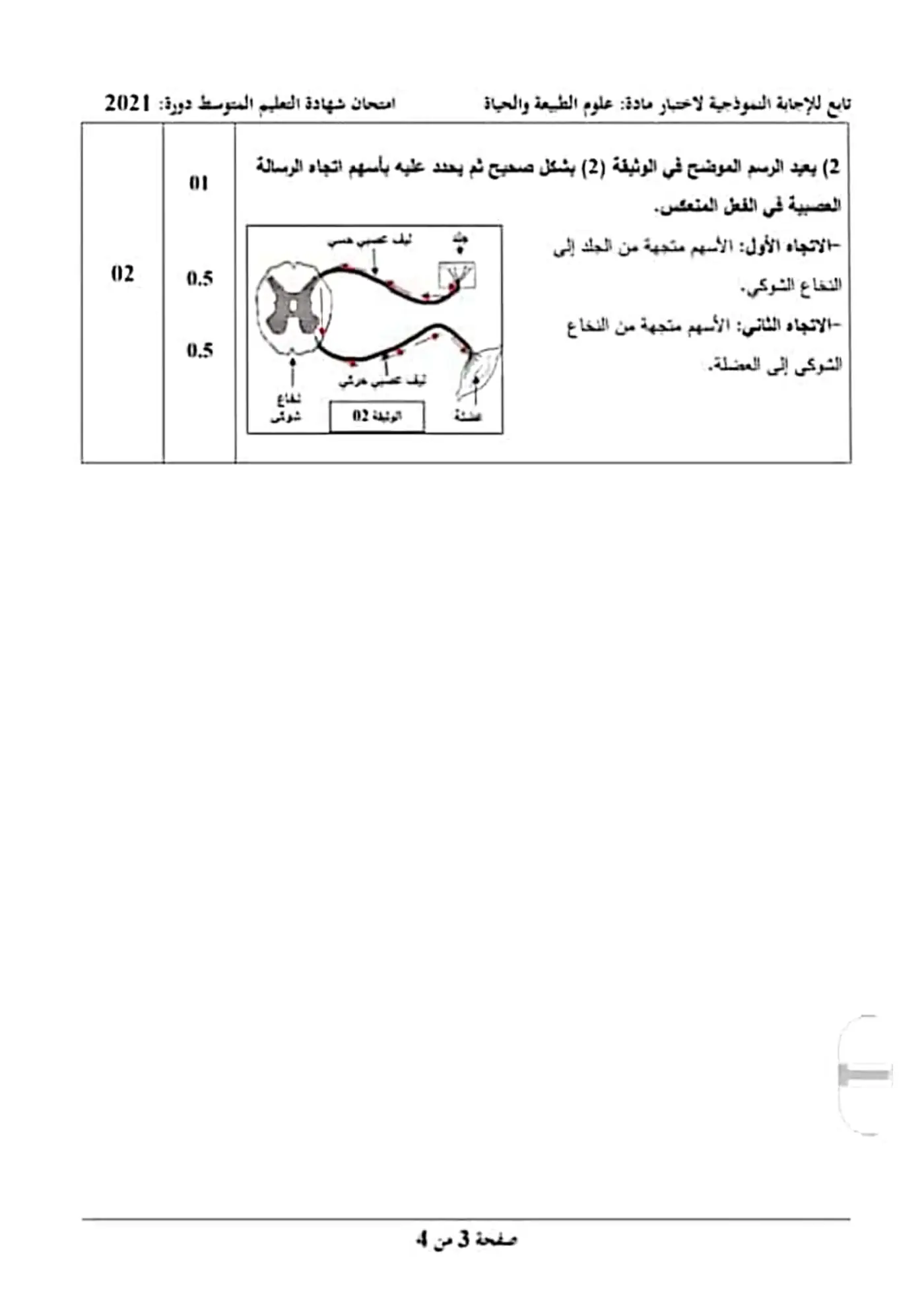 الصفحة 3 من 4