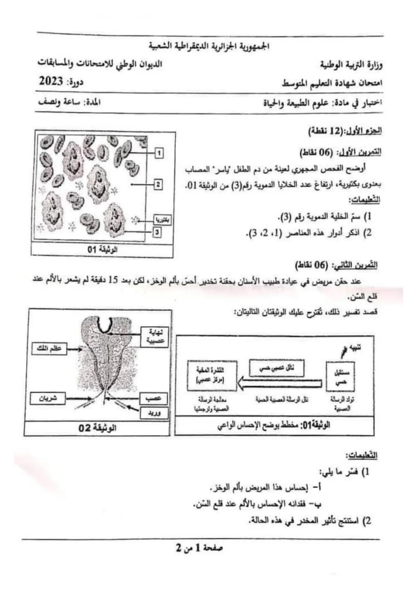 الصفحة 1 من 2