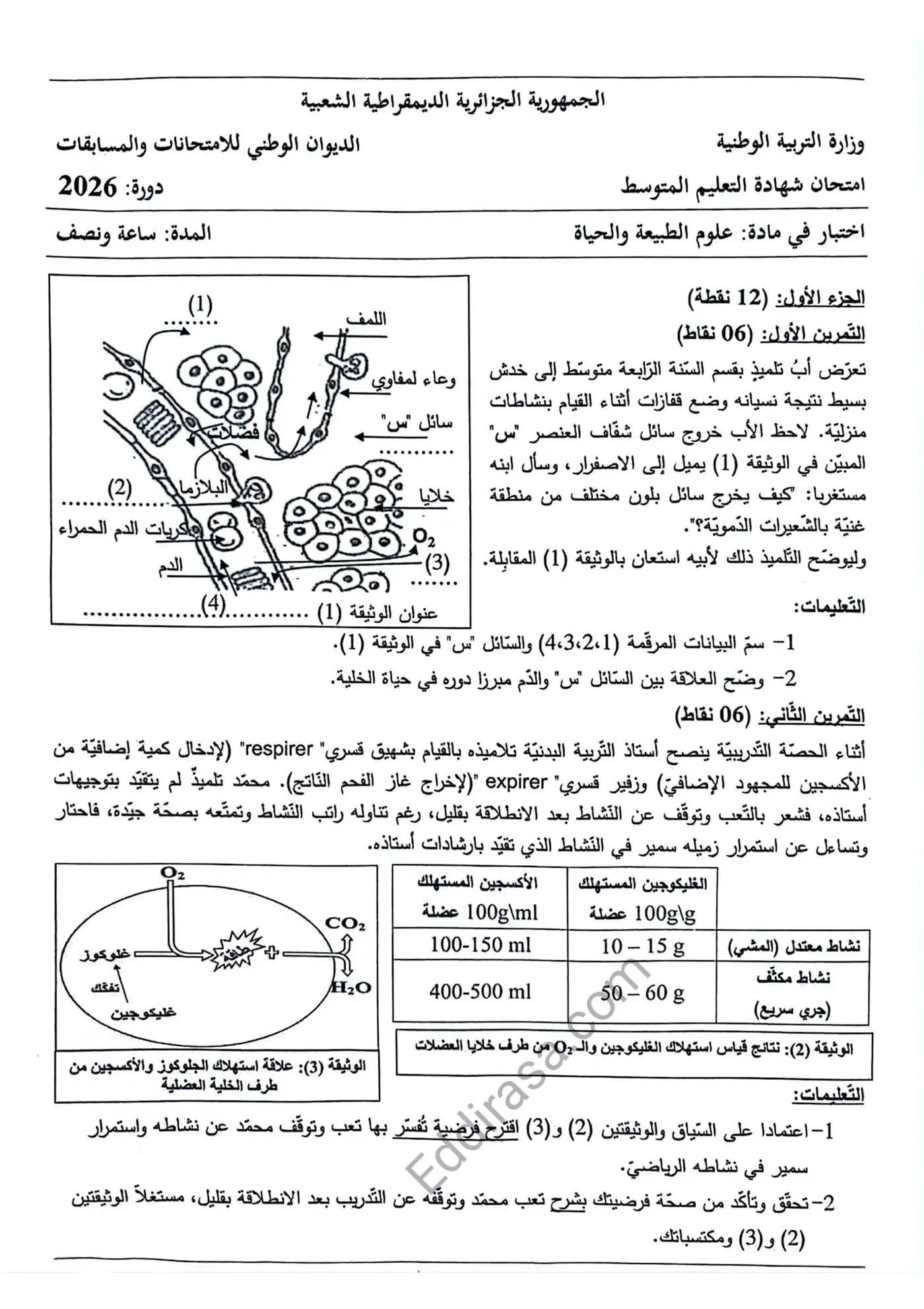 الصفحة 1 من 2