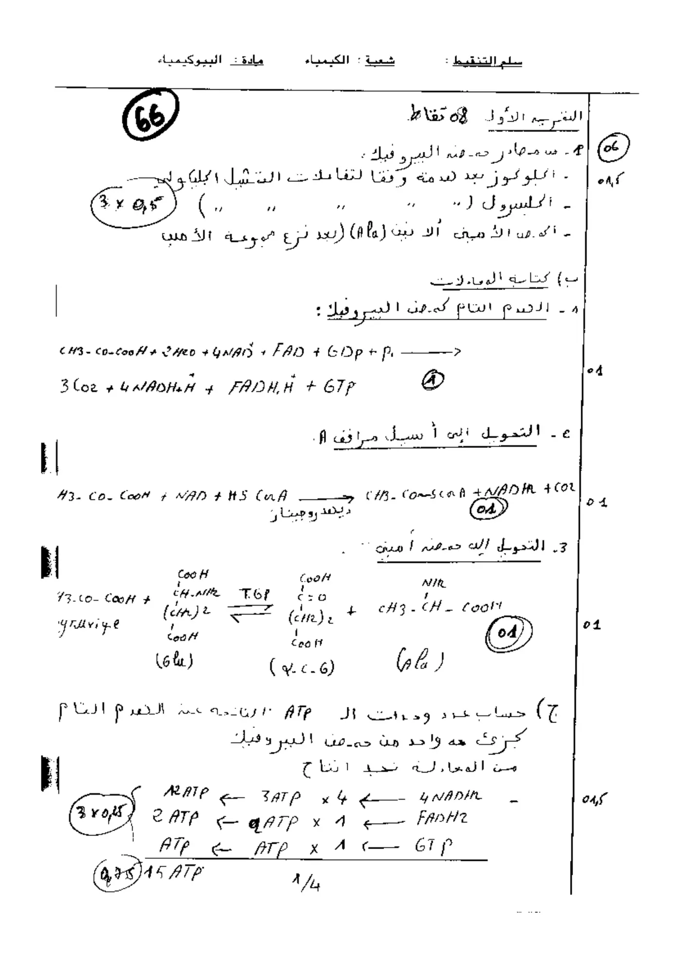 الصفحة 1 من 4
