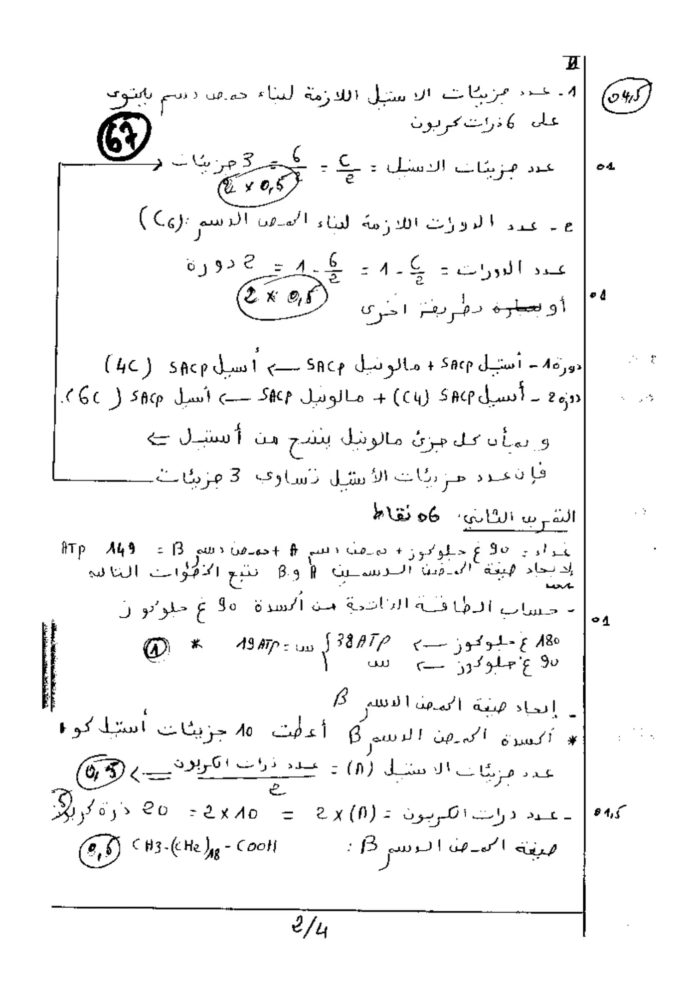 الصفحة 2 من 4