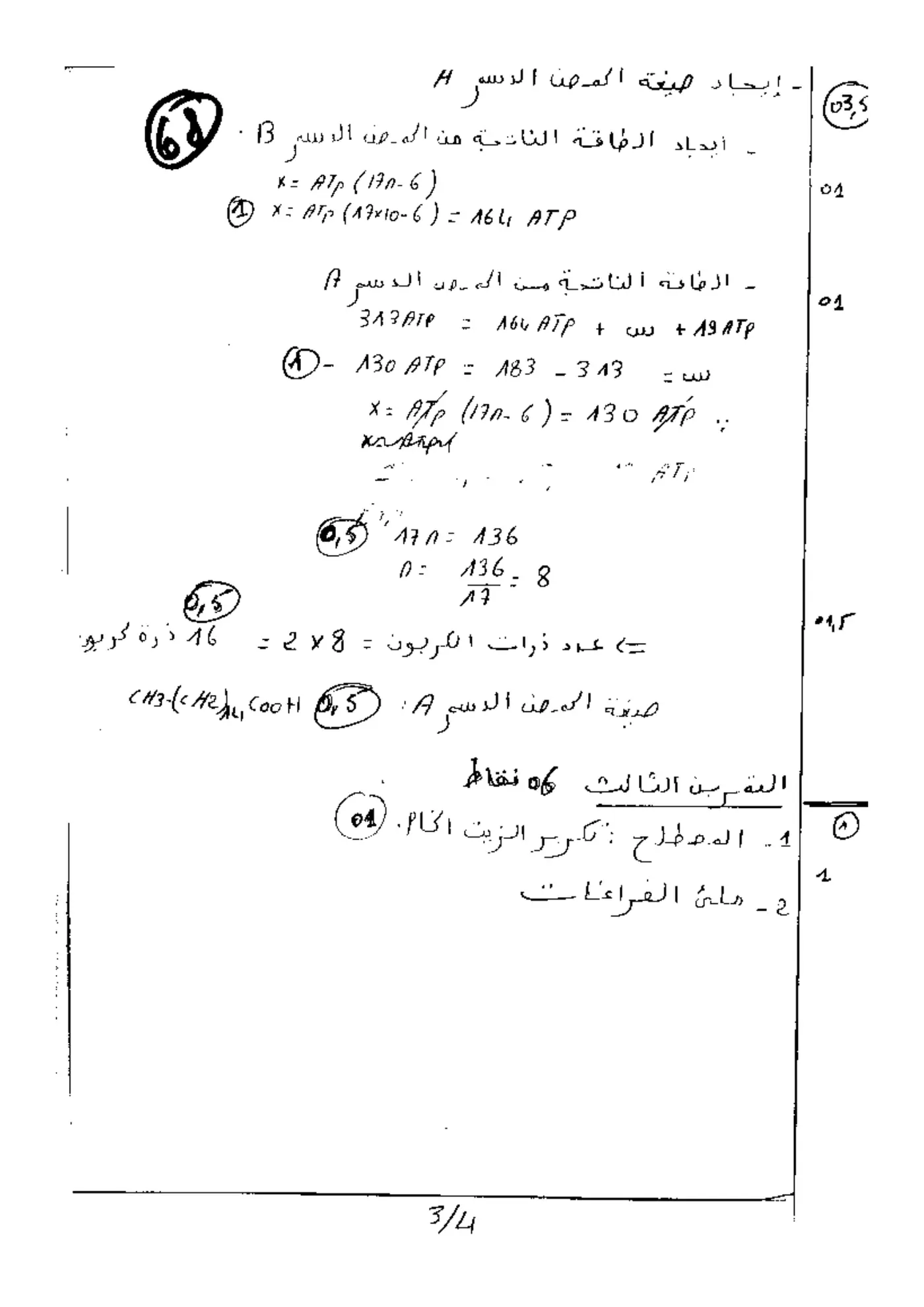 الصفحة 3 من 4