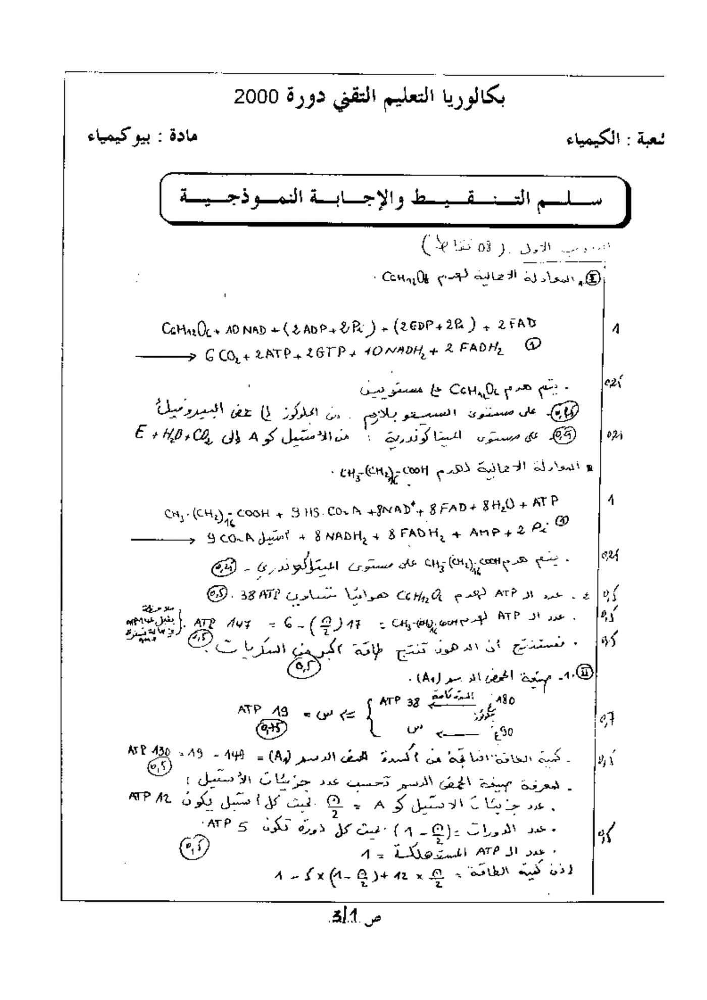 الصفحة 1 من 3