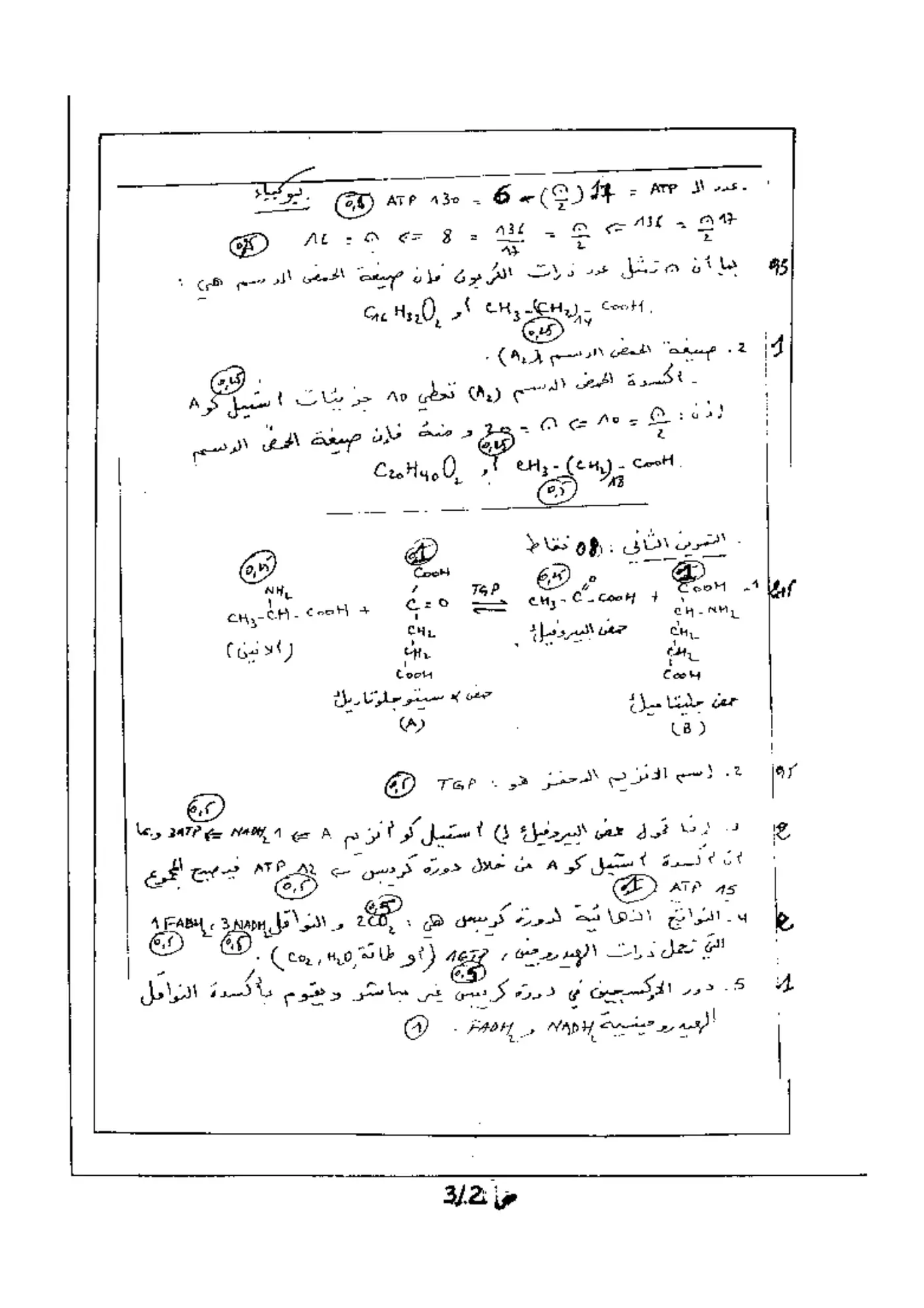 الصفحة 2 من 3