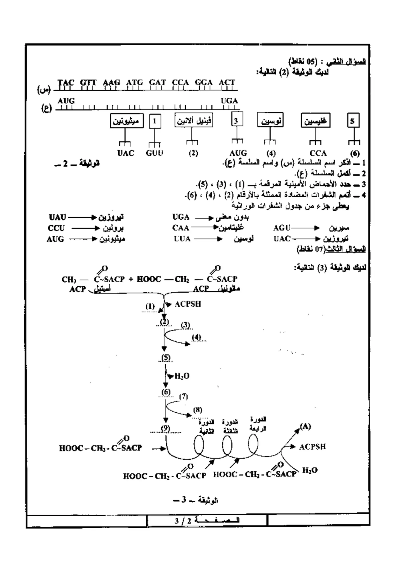 الصفحة 2 من 3