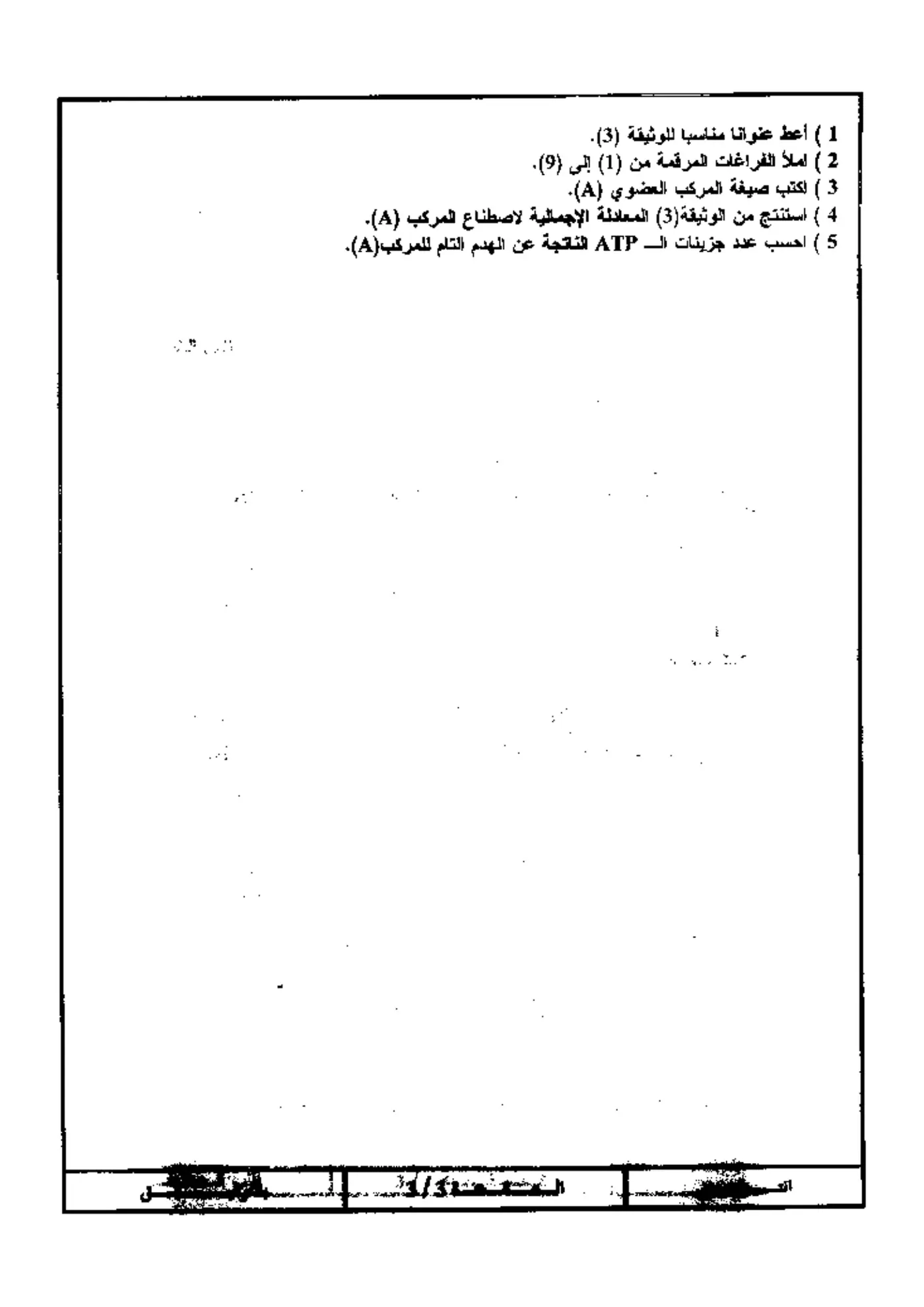 الصفحة 3 من 3