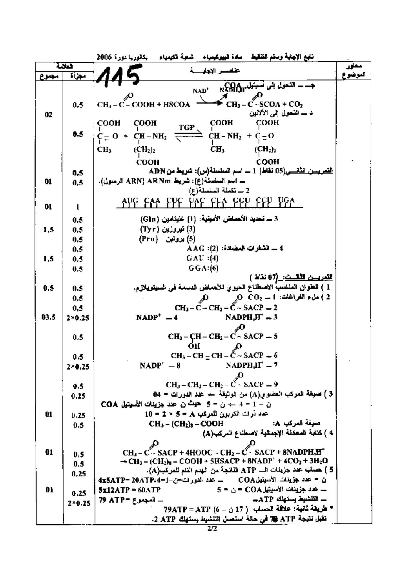 الصفحة 2 من 2