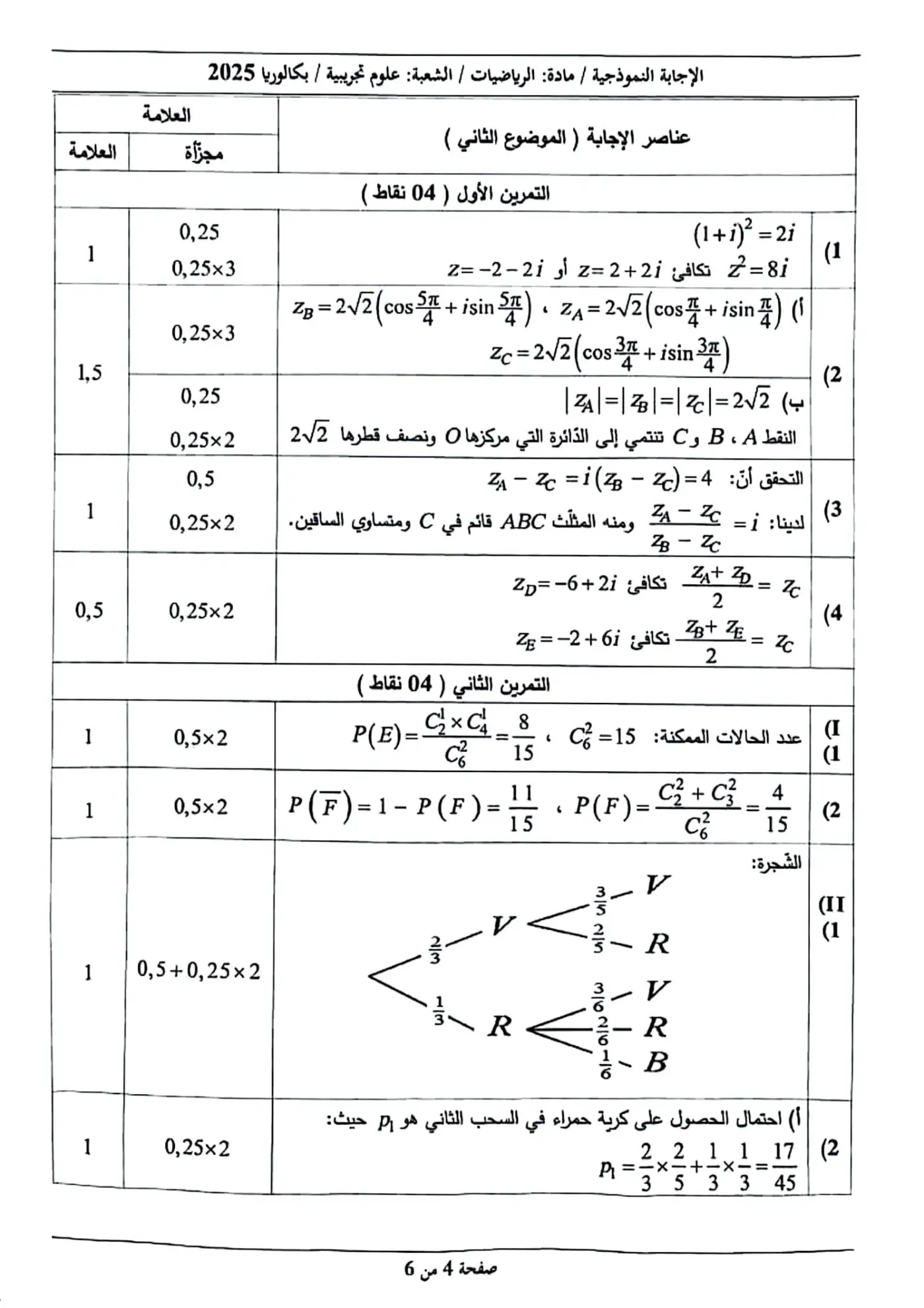 الصفحة 4 من 6