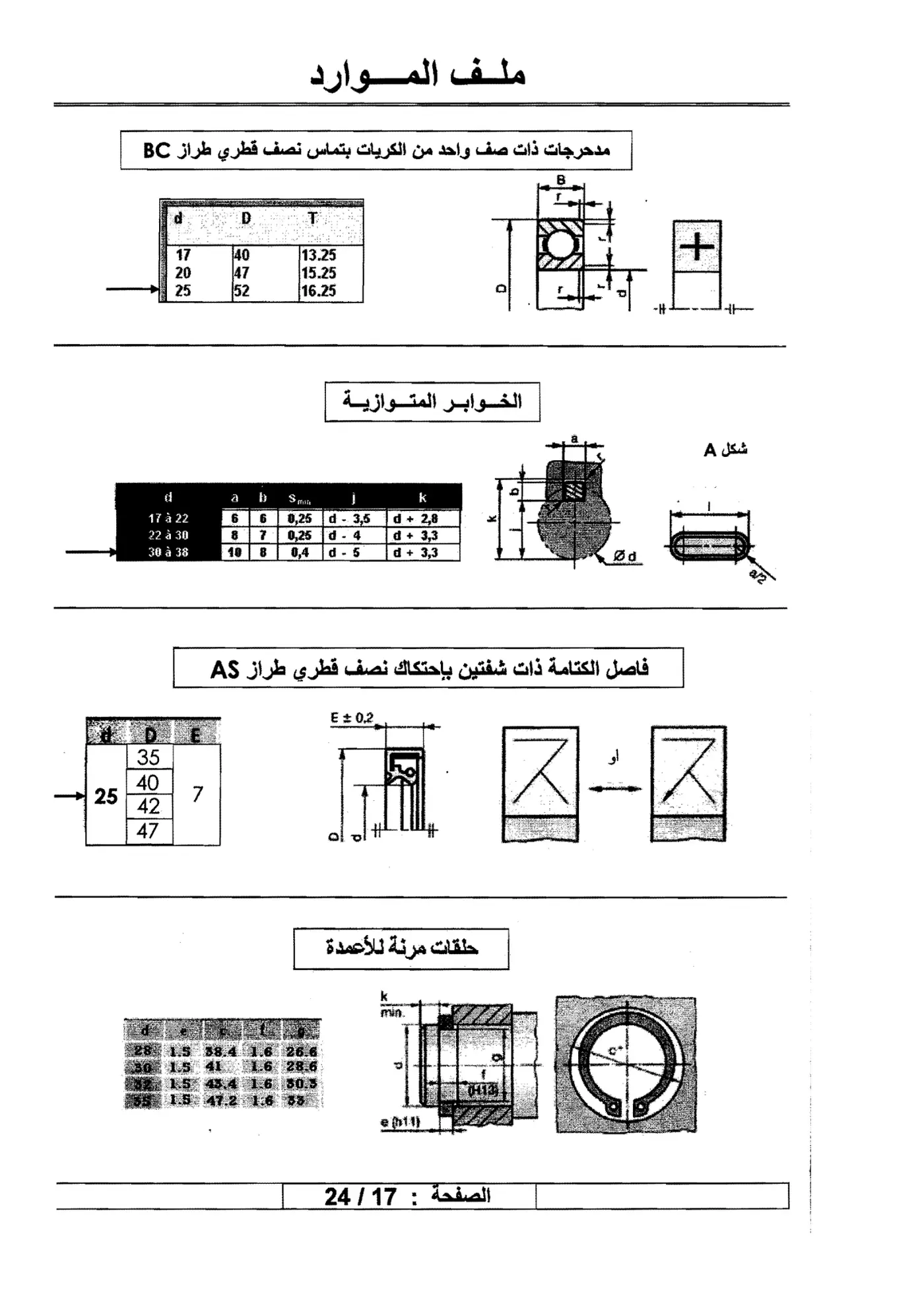 الصفحة 17 من 24