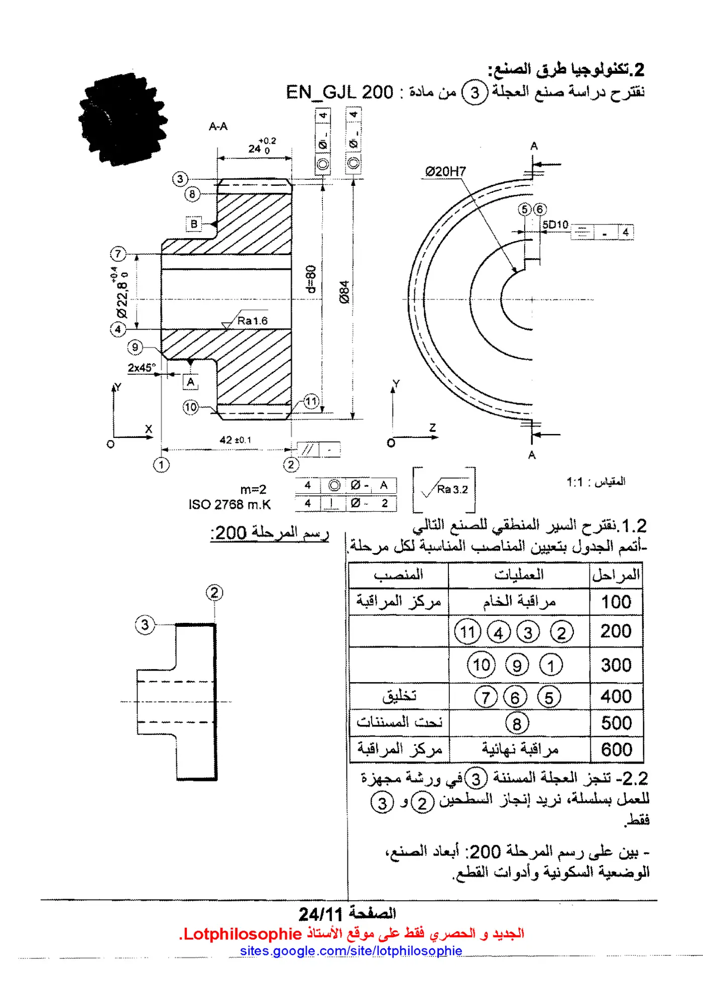 الصفحة 11 من 24