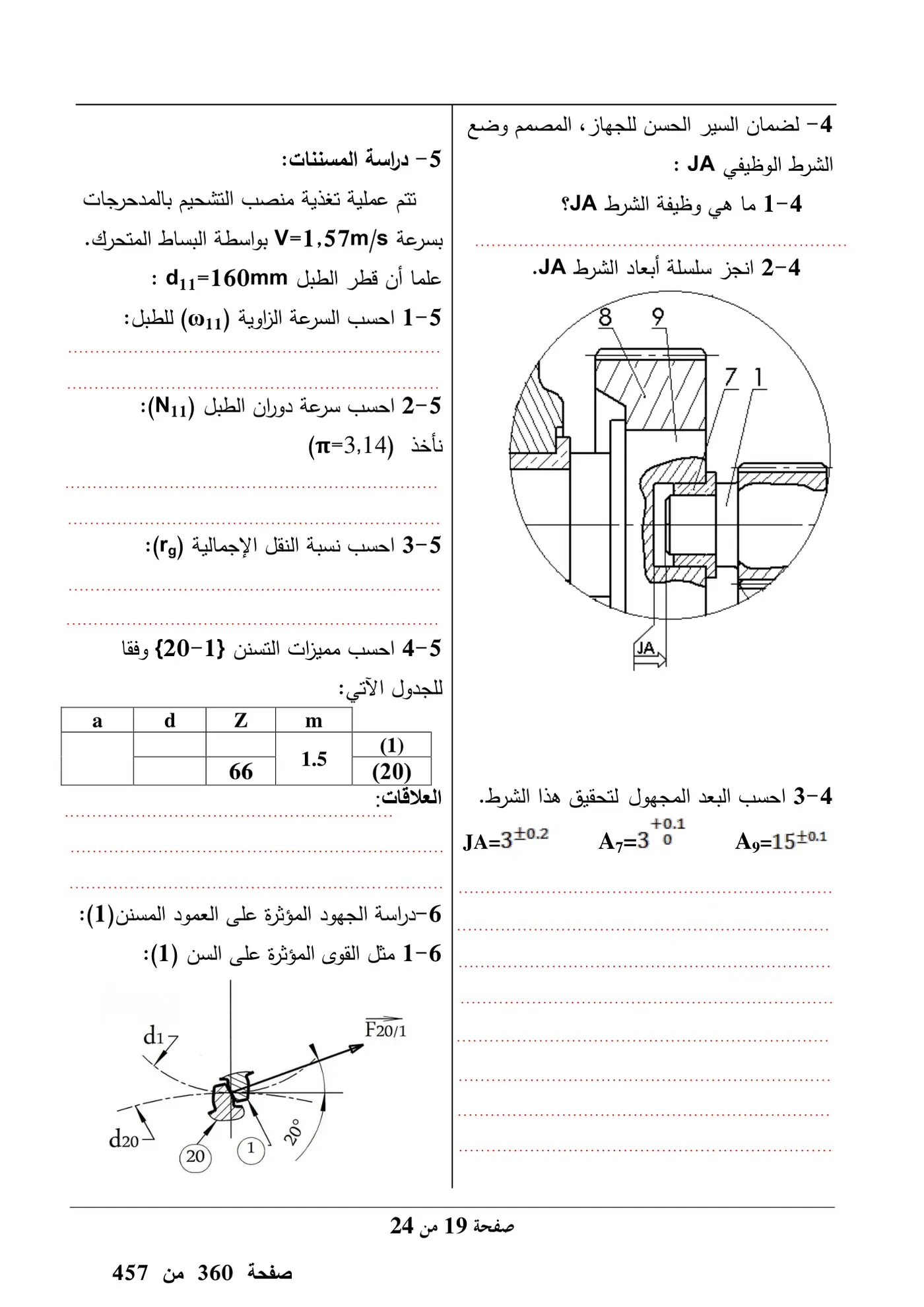 الصفحة 19 من 24
