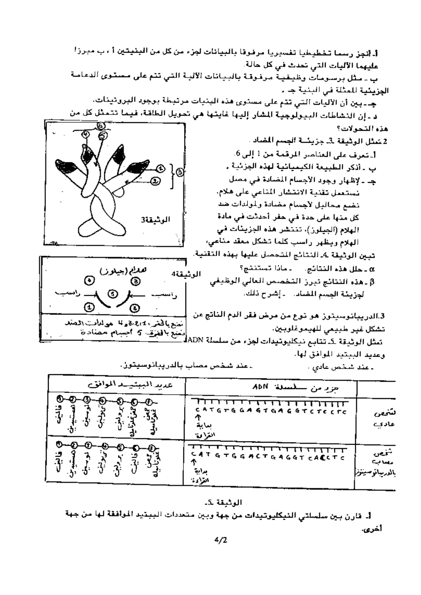 الصفحة 2 من 4