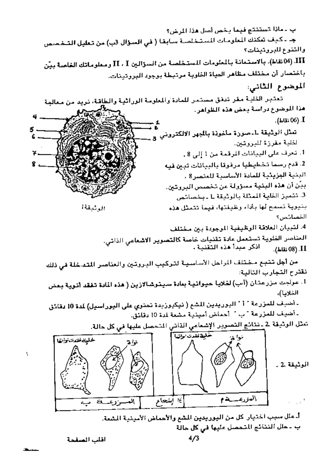 الصفحة 3 من 4