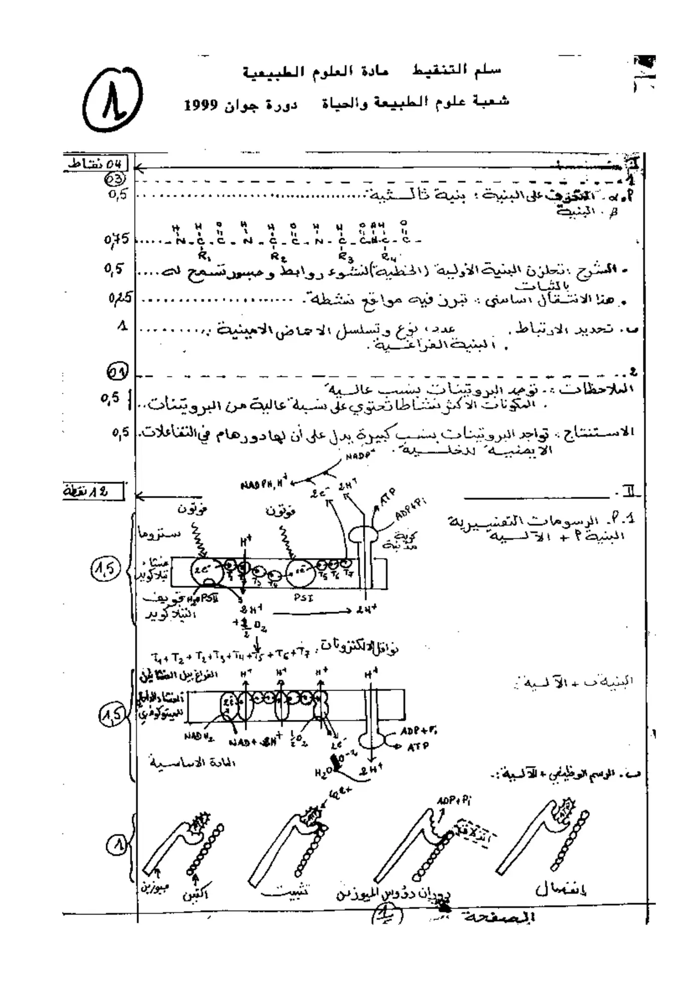الصفحة 1 من 5