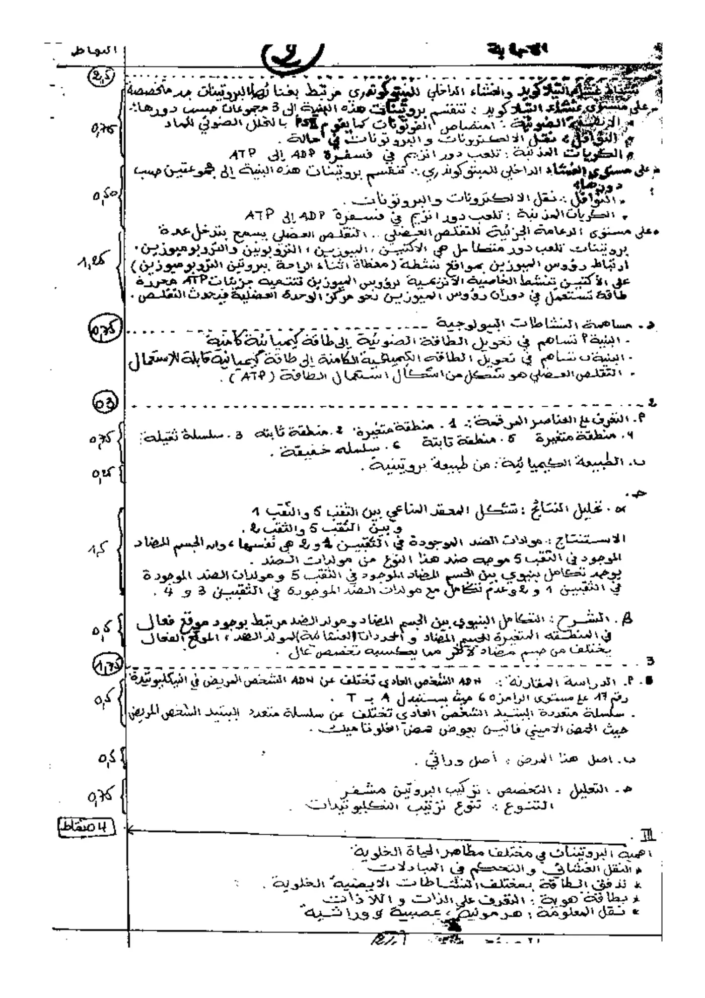 الصفحة 2 من 5