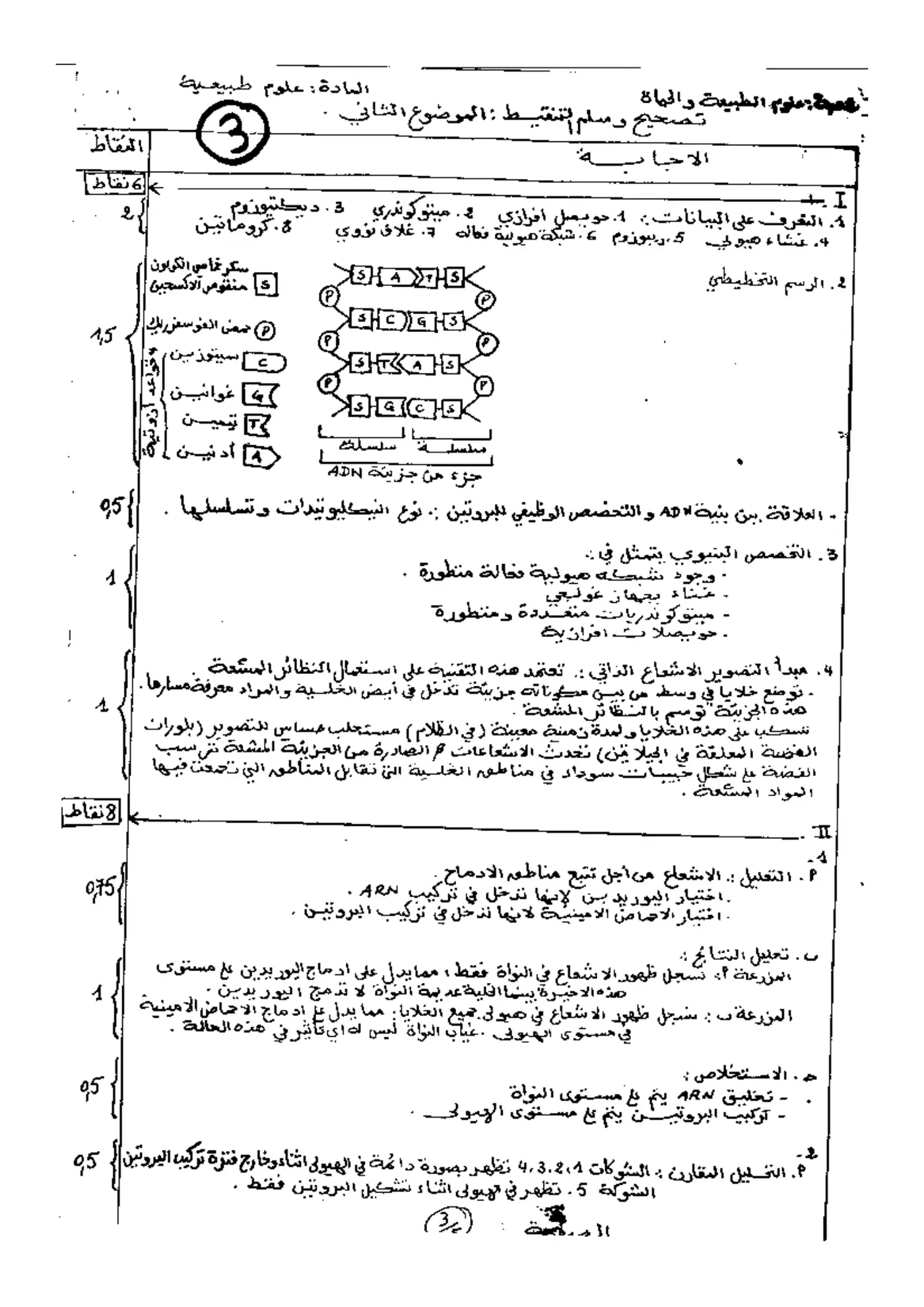 الصفحة 3 من 5