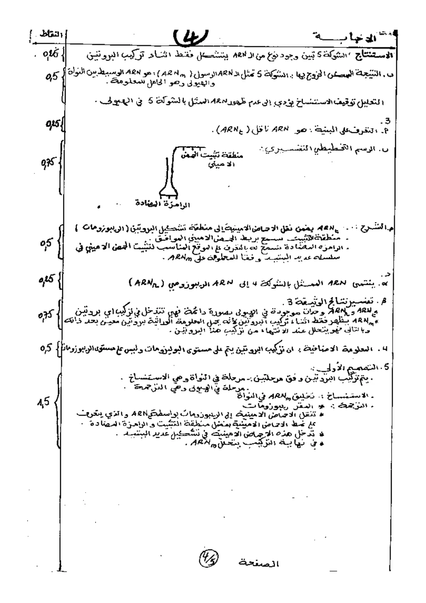 الصفحة 4 من 5