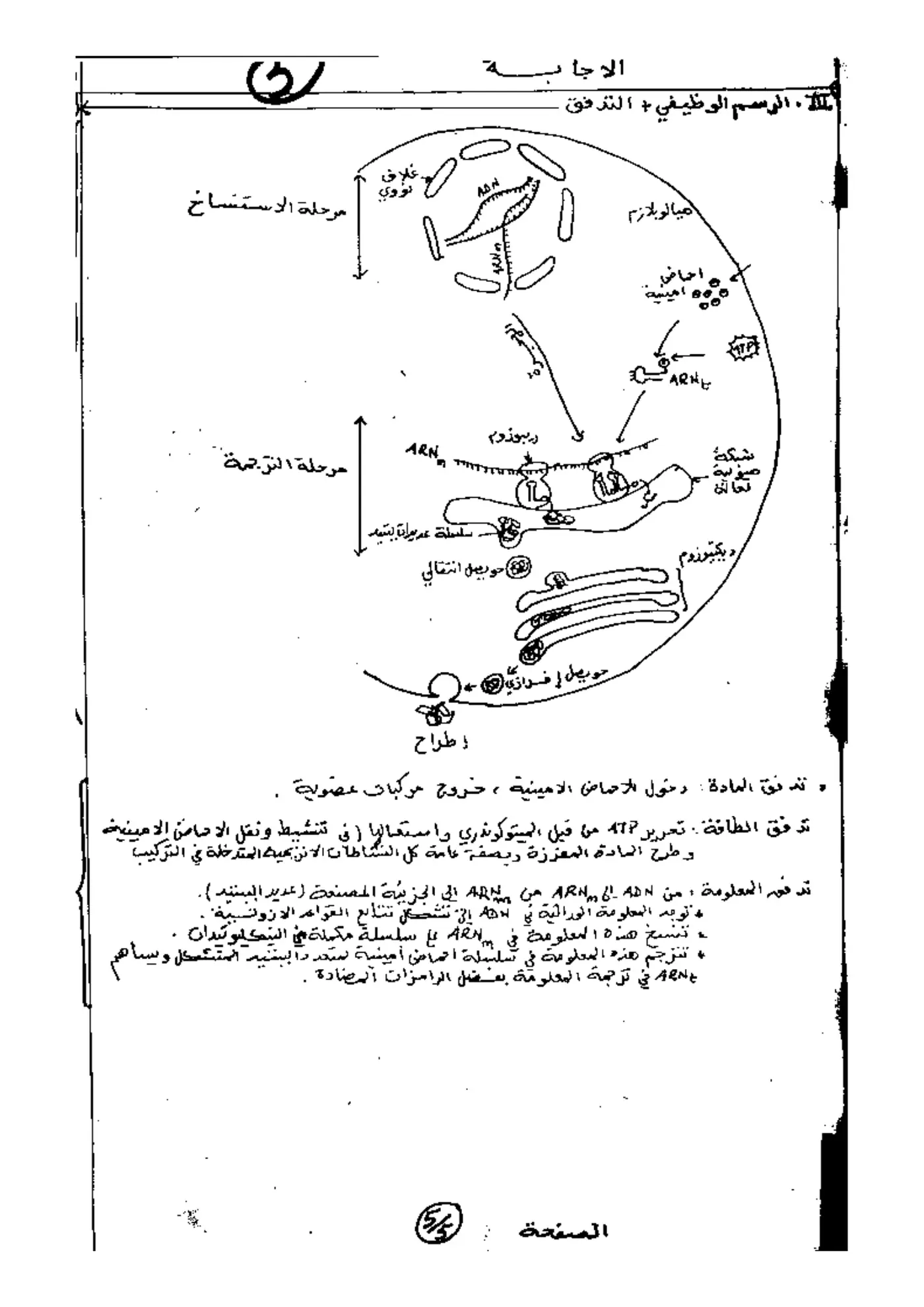 الصفحة 5 من 5