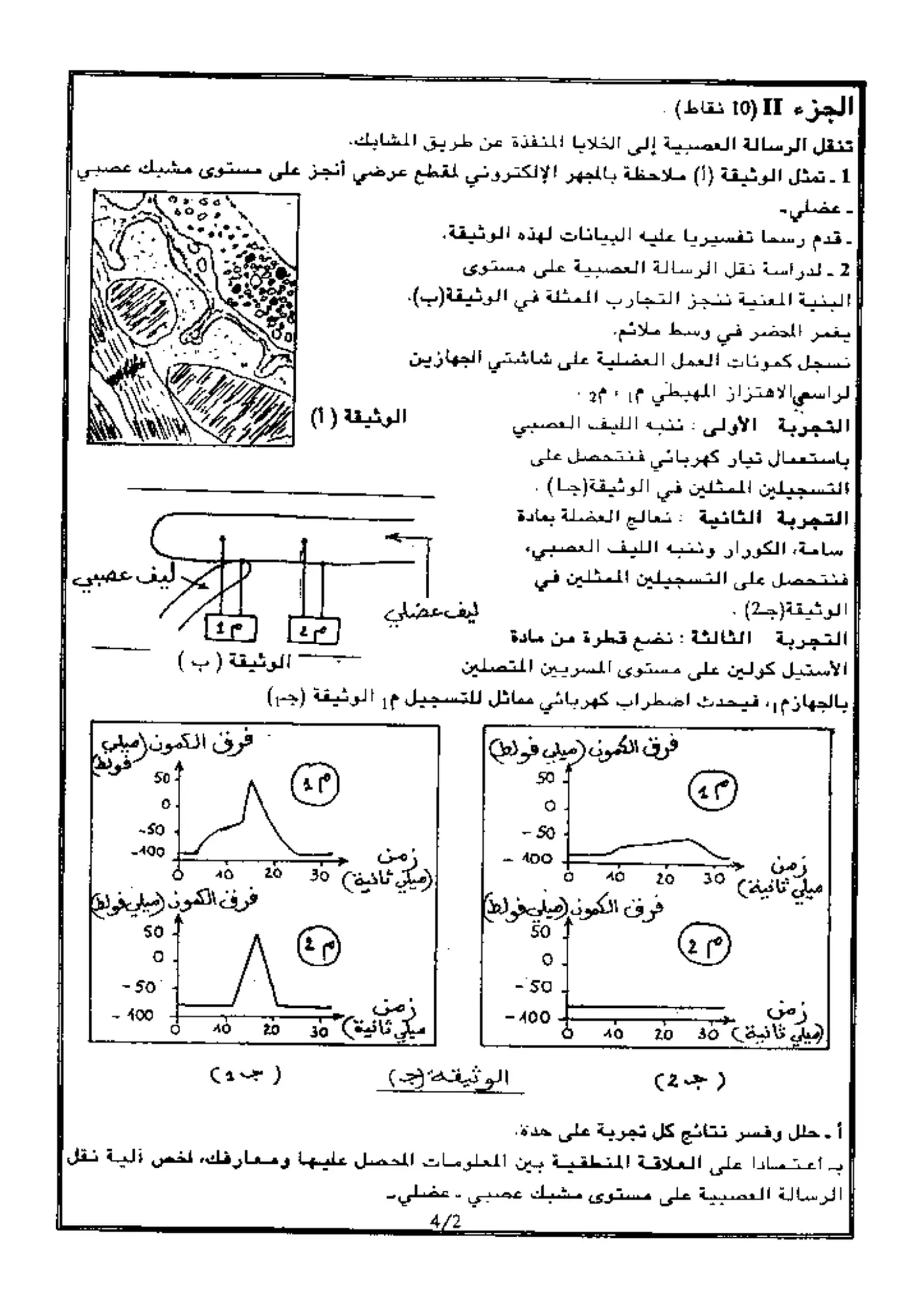 الصفحة 2 من 4