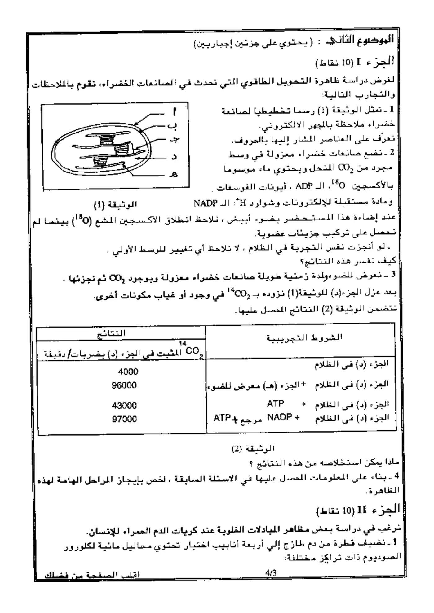 الصفحة 3 من 4