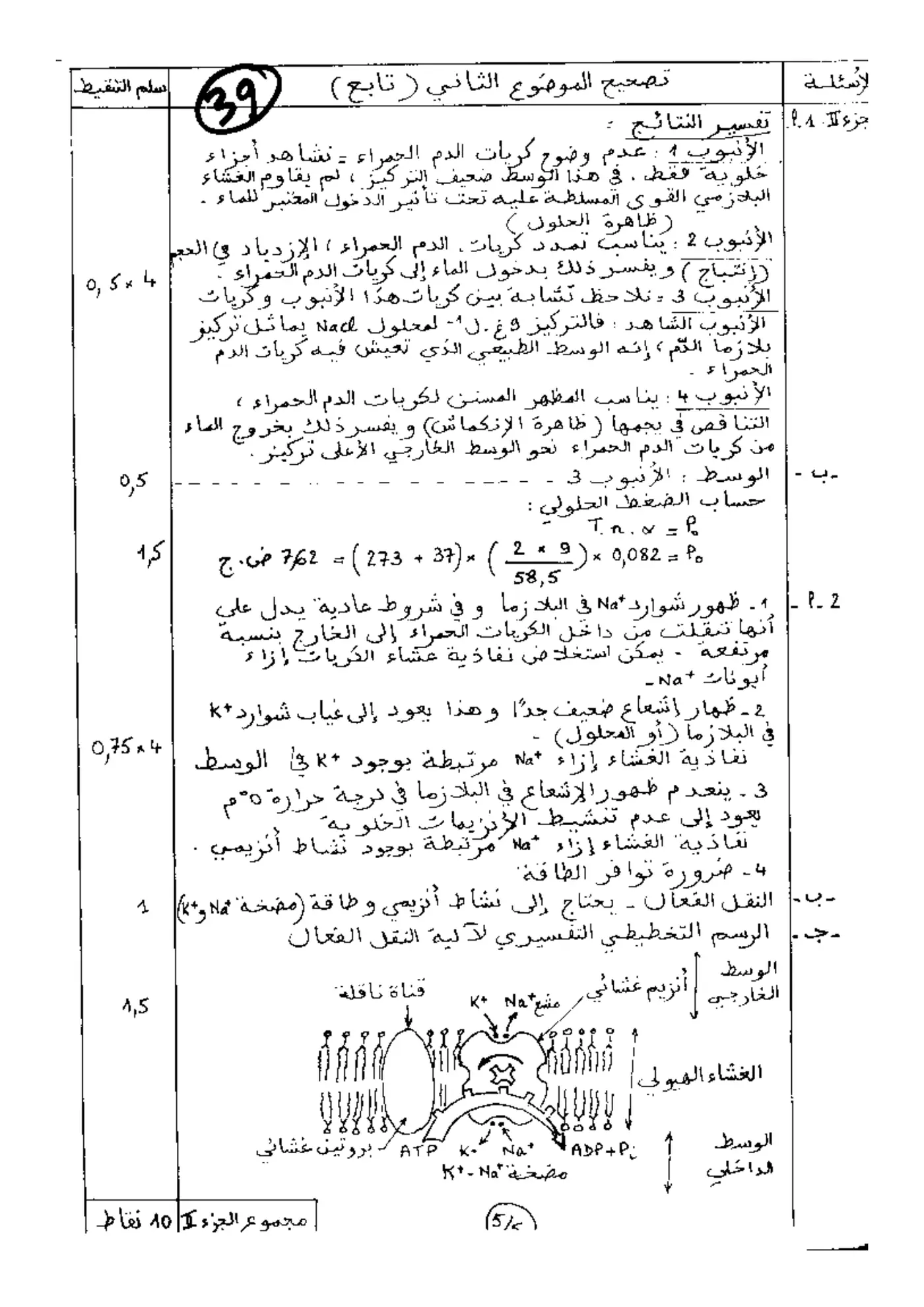 الصفحة 1 من 5