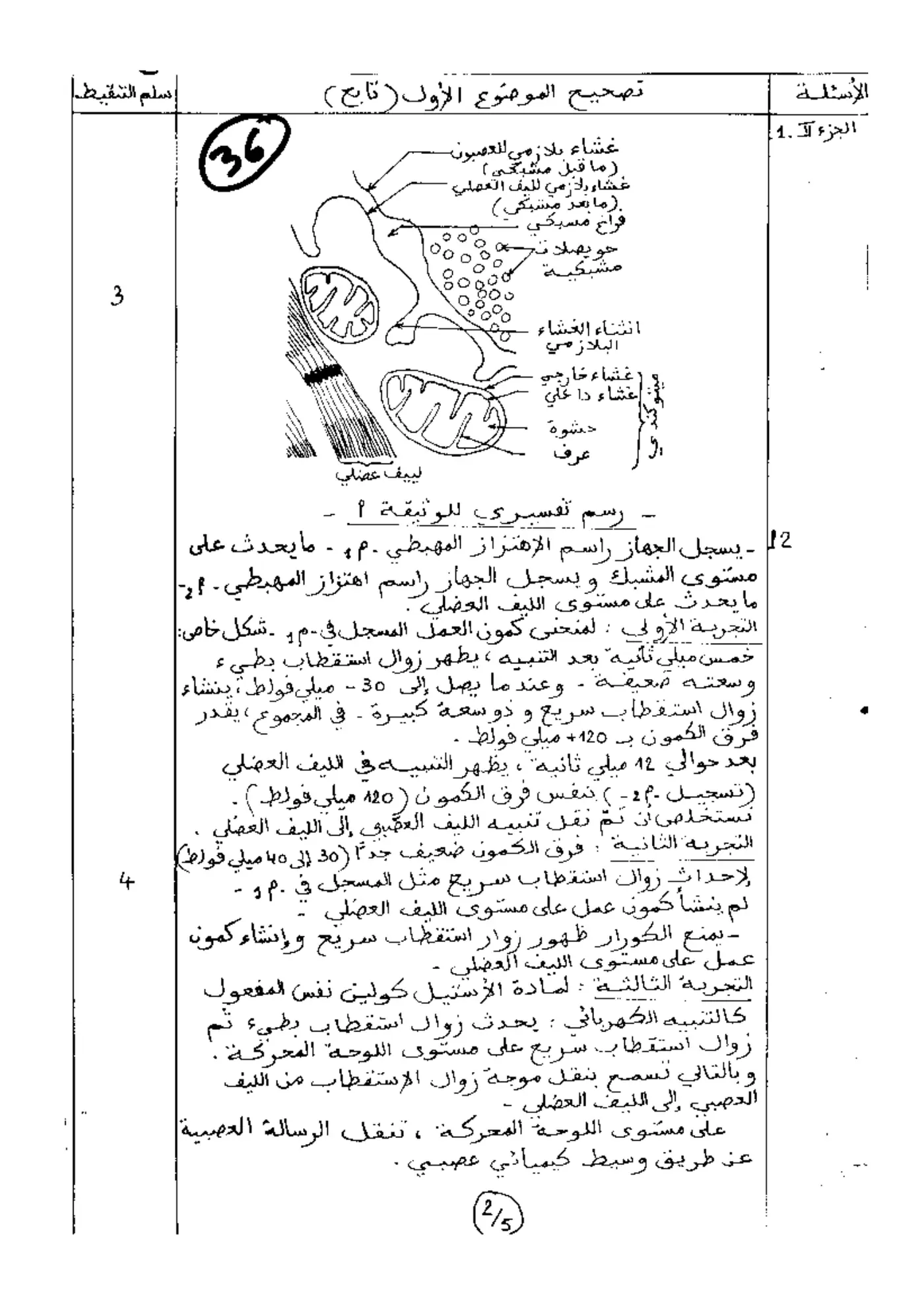الصفحة 3 من 5