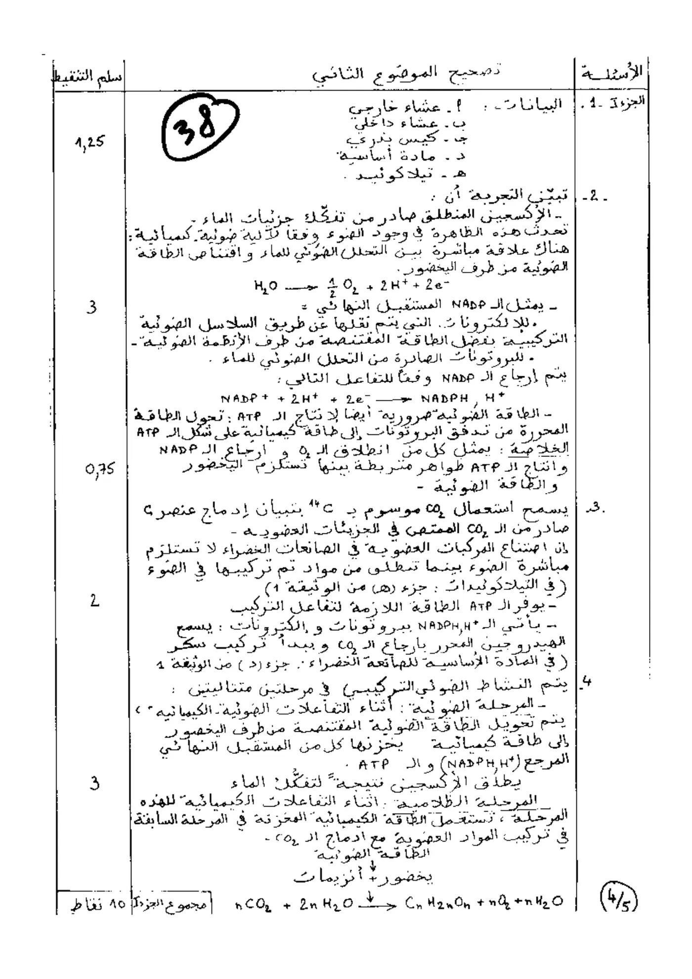 الصفحة 5 من 5