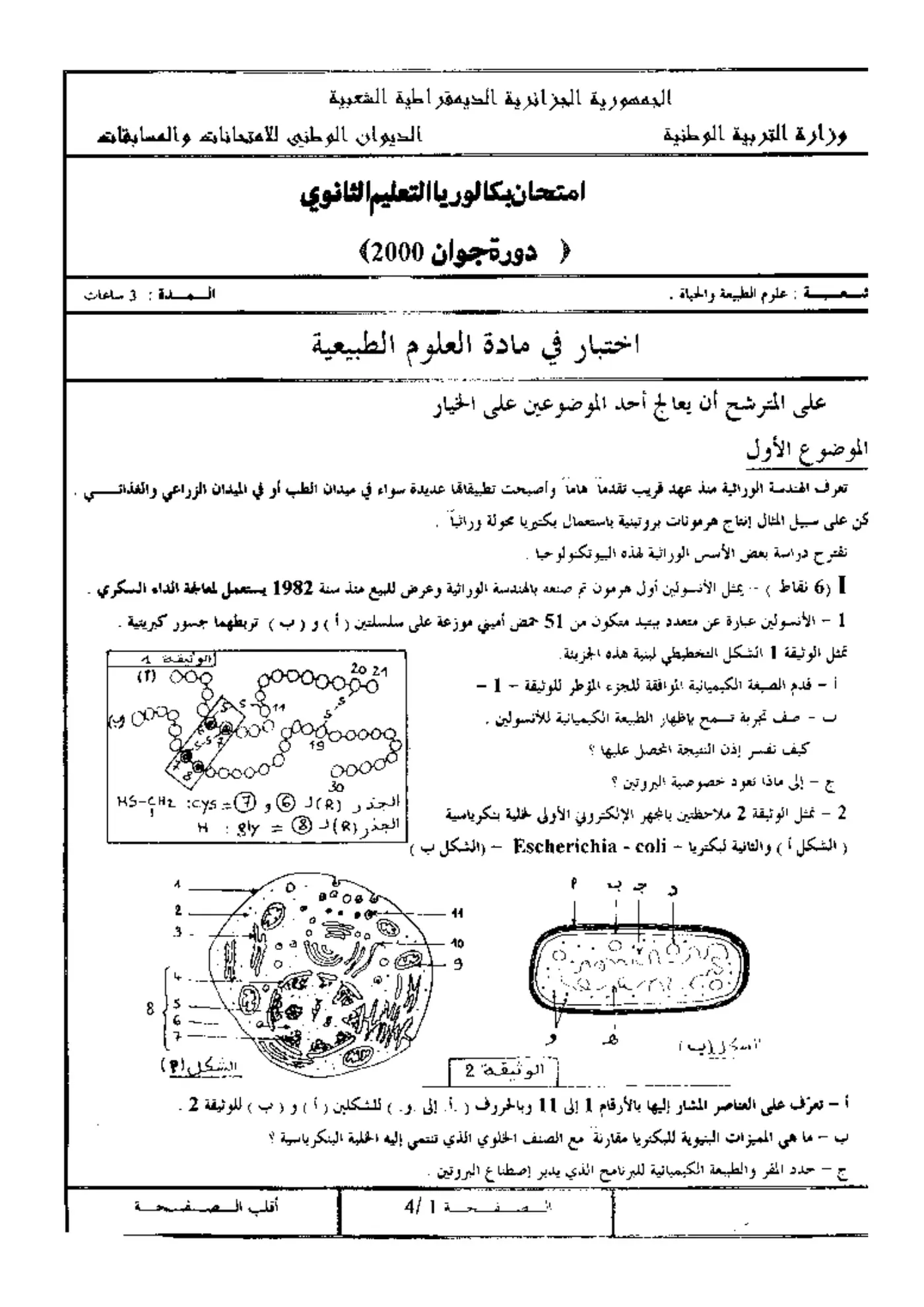 الصفحة 1 من 4