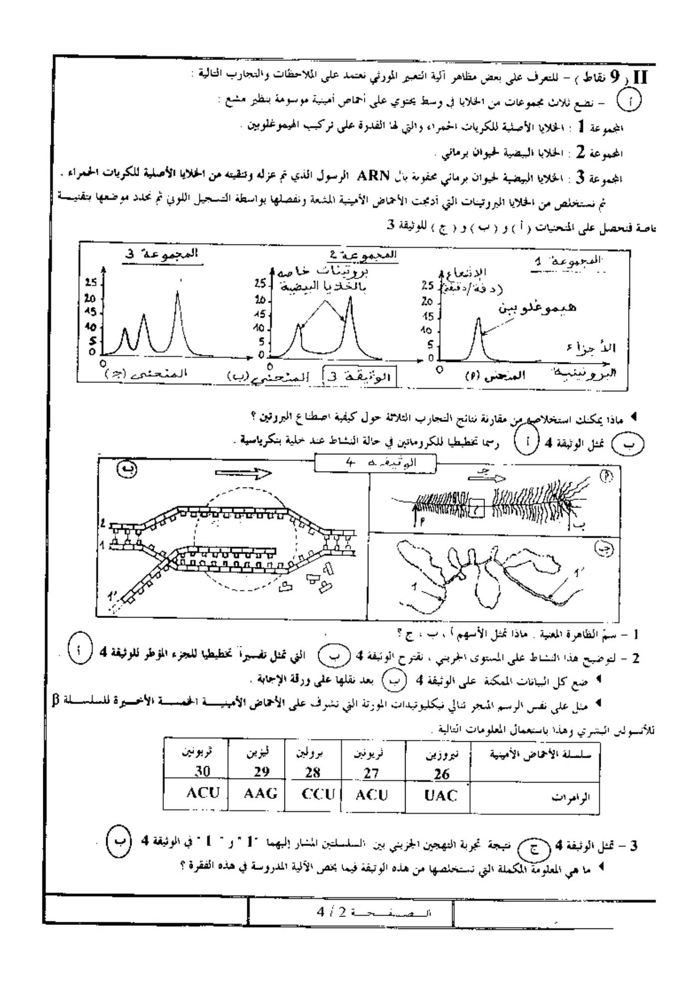 الصفحة 2 من 4