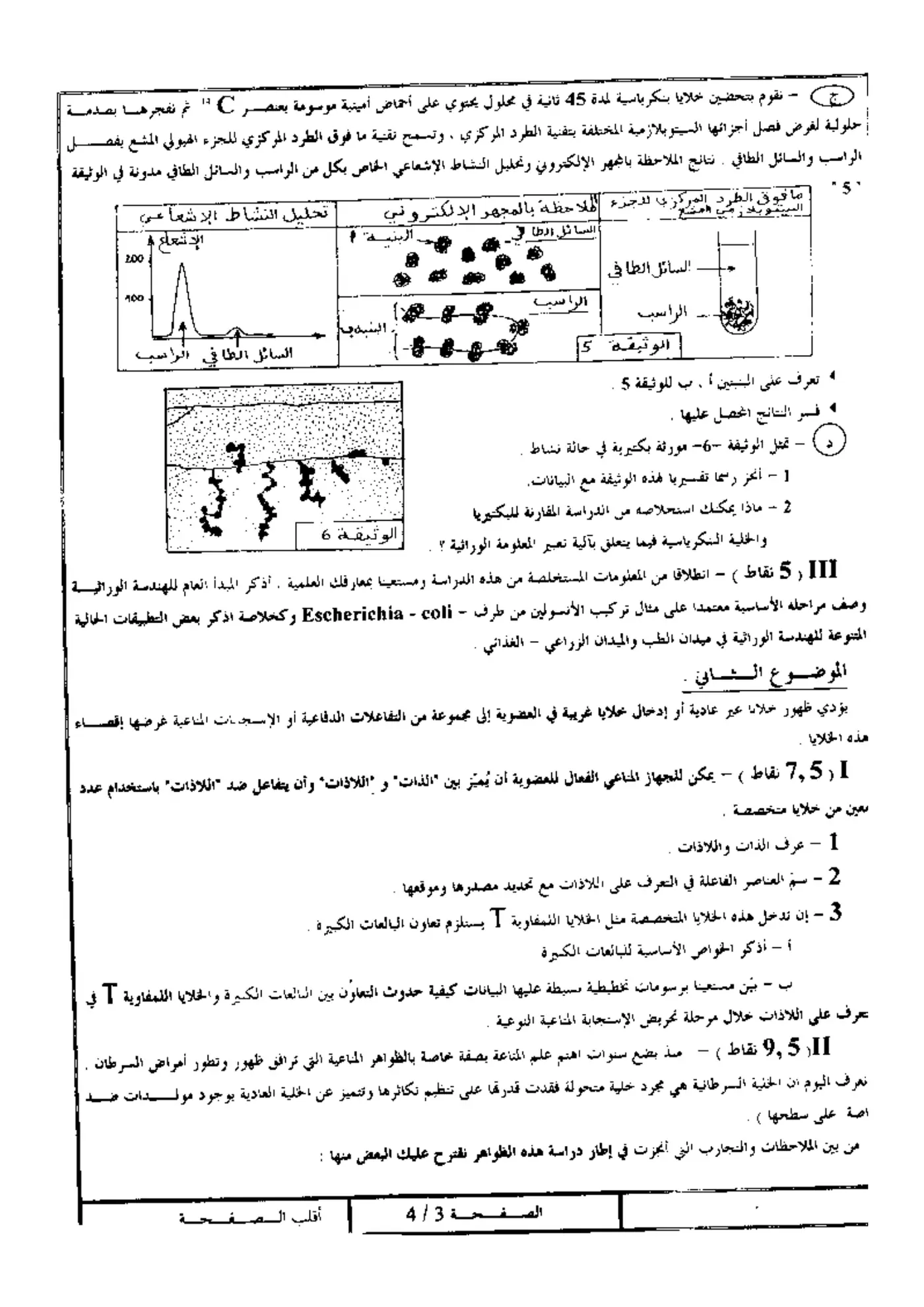 الصفحة 3 من 4