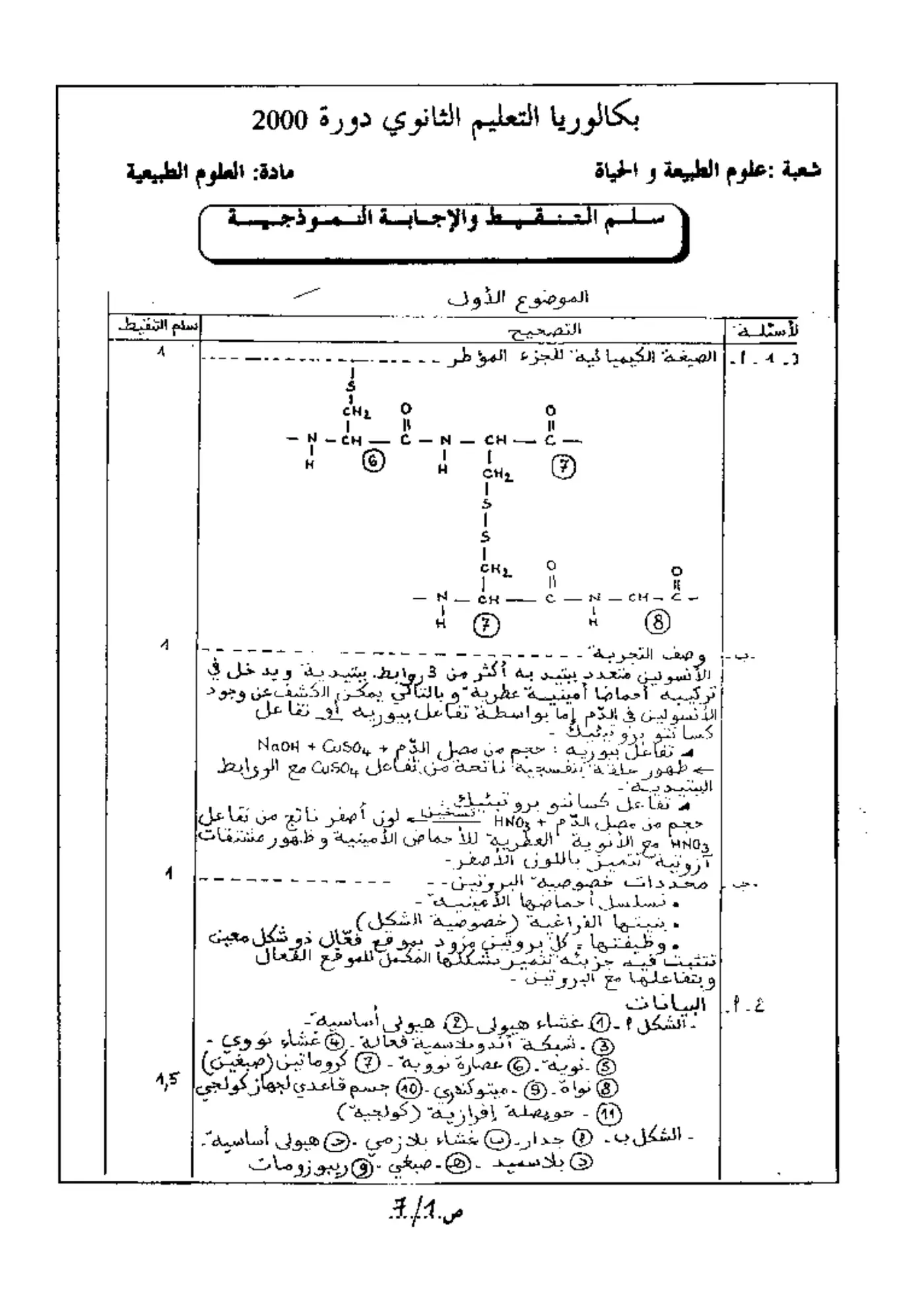 الصفحة 1 من 7