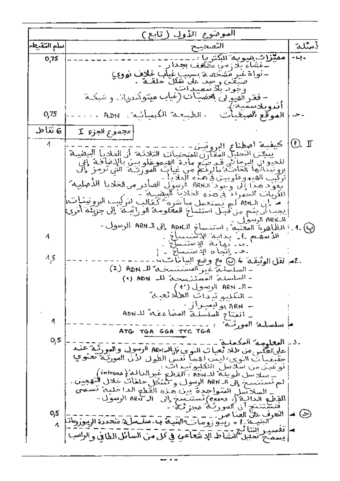 الصفحة 2 من 7