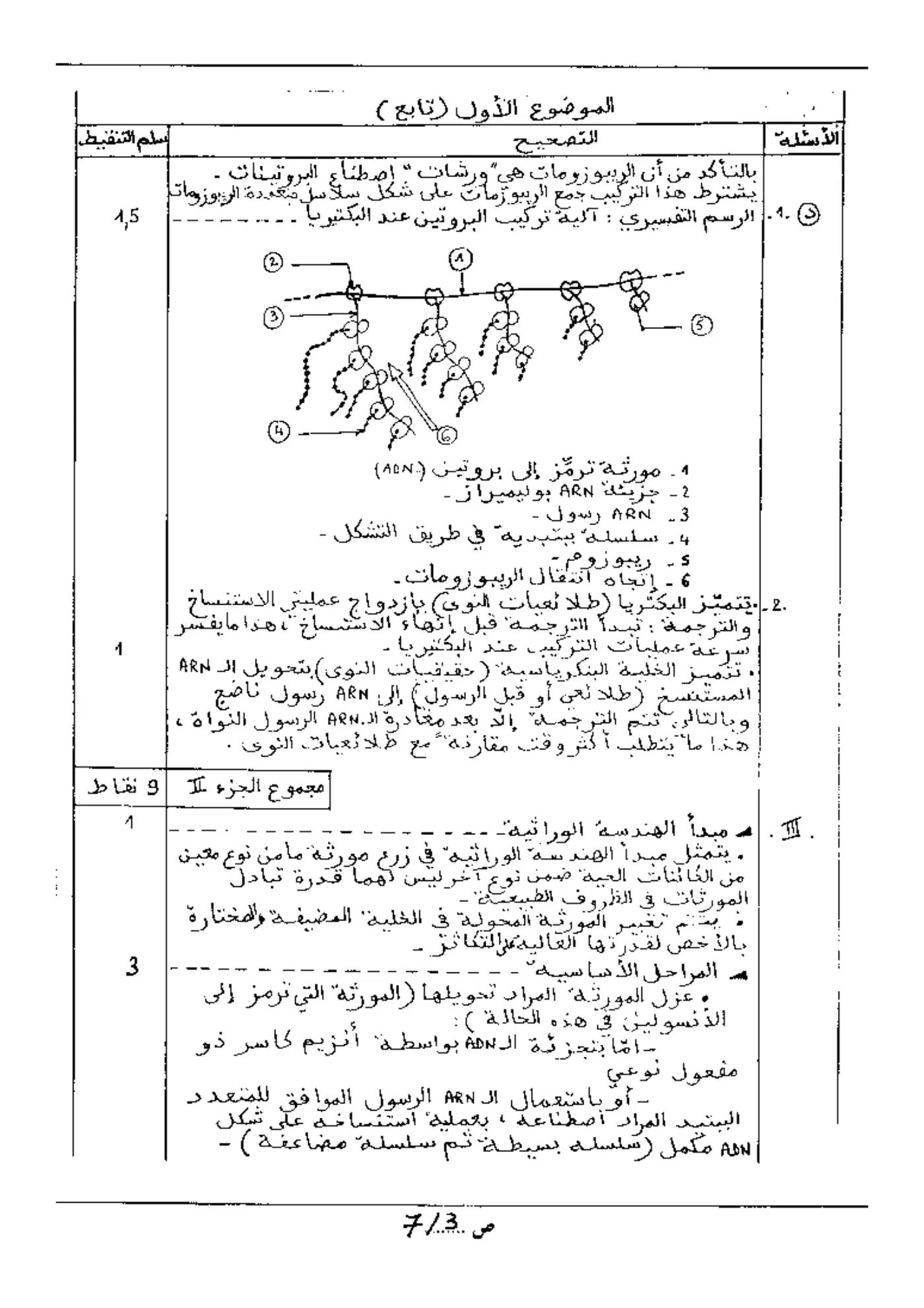 الصفحة 3 من 7
