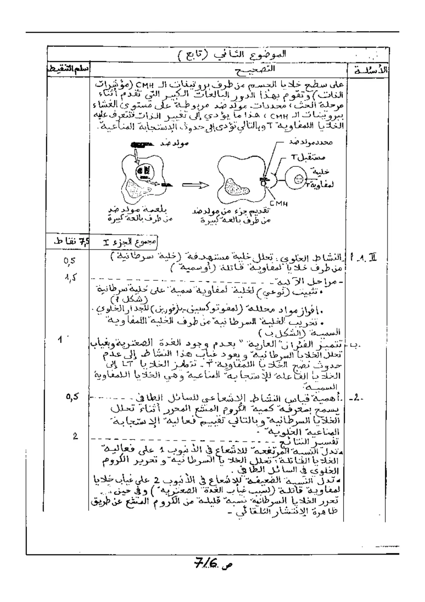 الصفحة 6 من 7