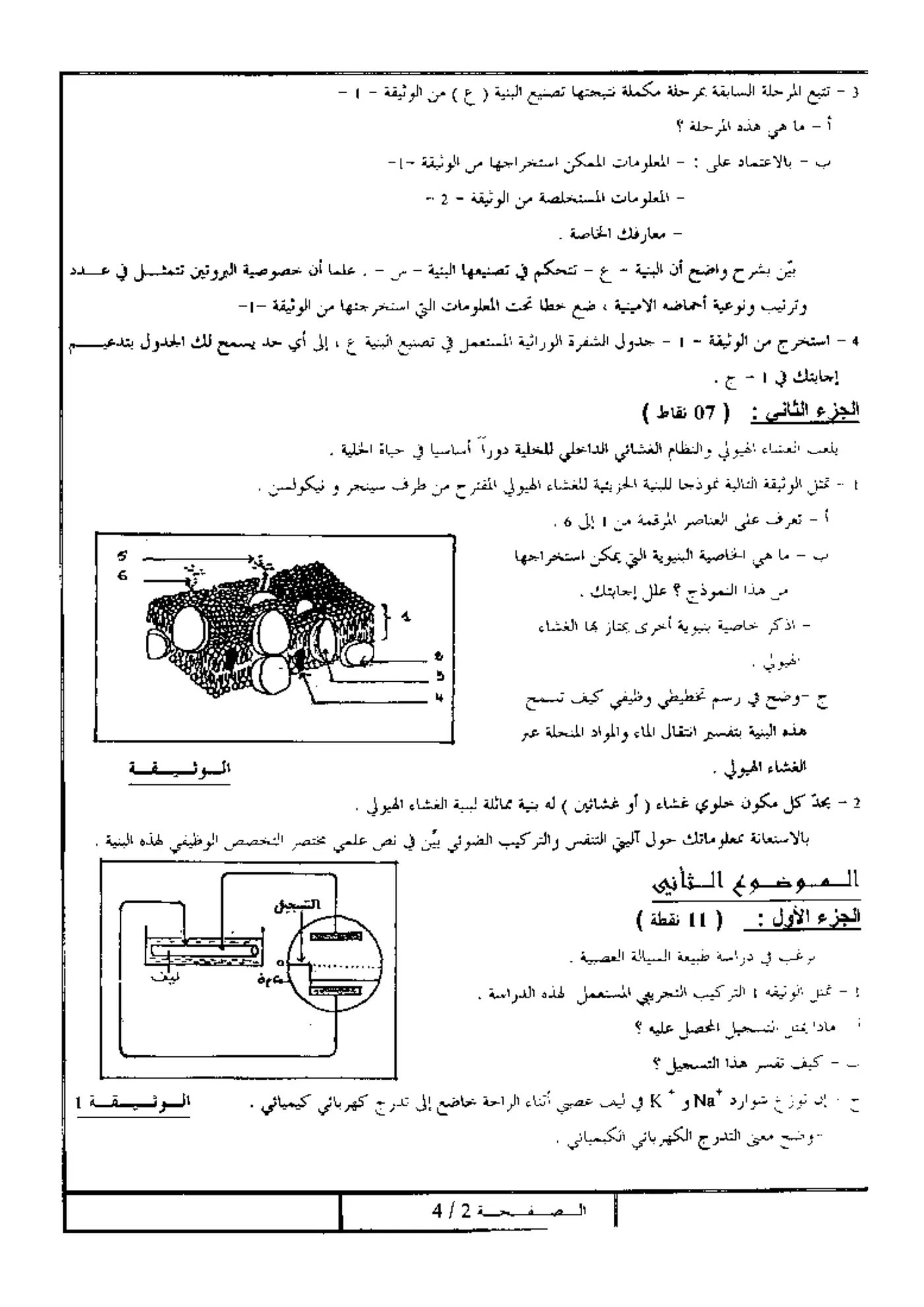الصفحة 2 من 4