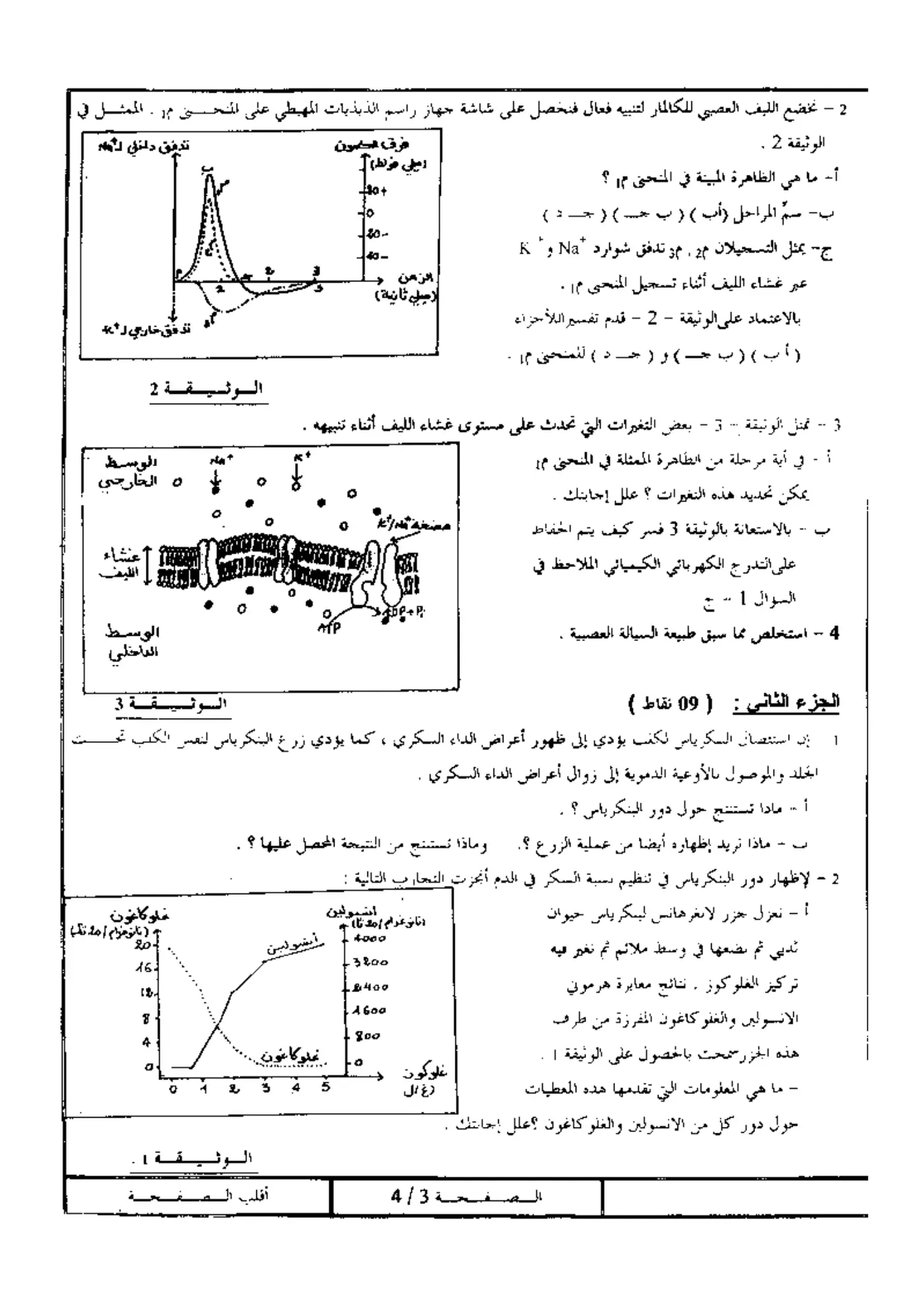 الصفحة 3 من 4