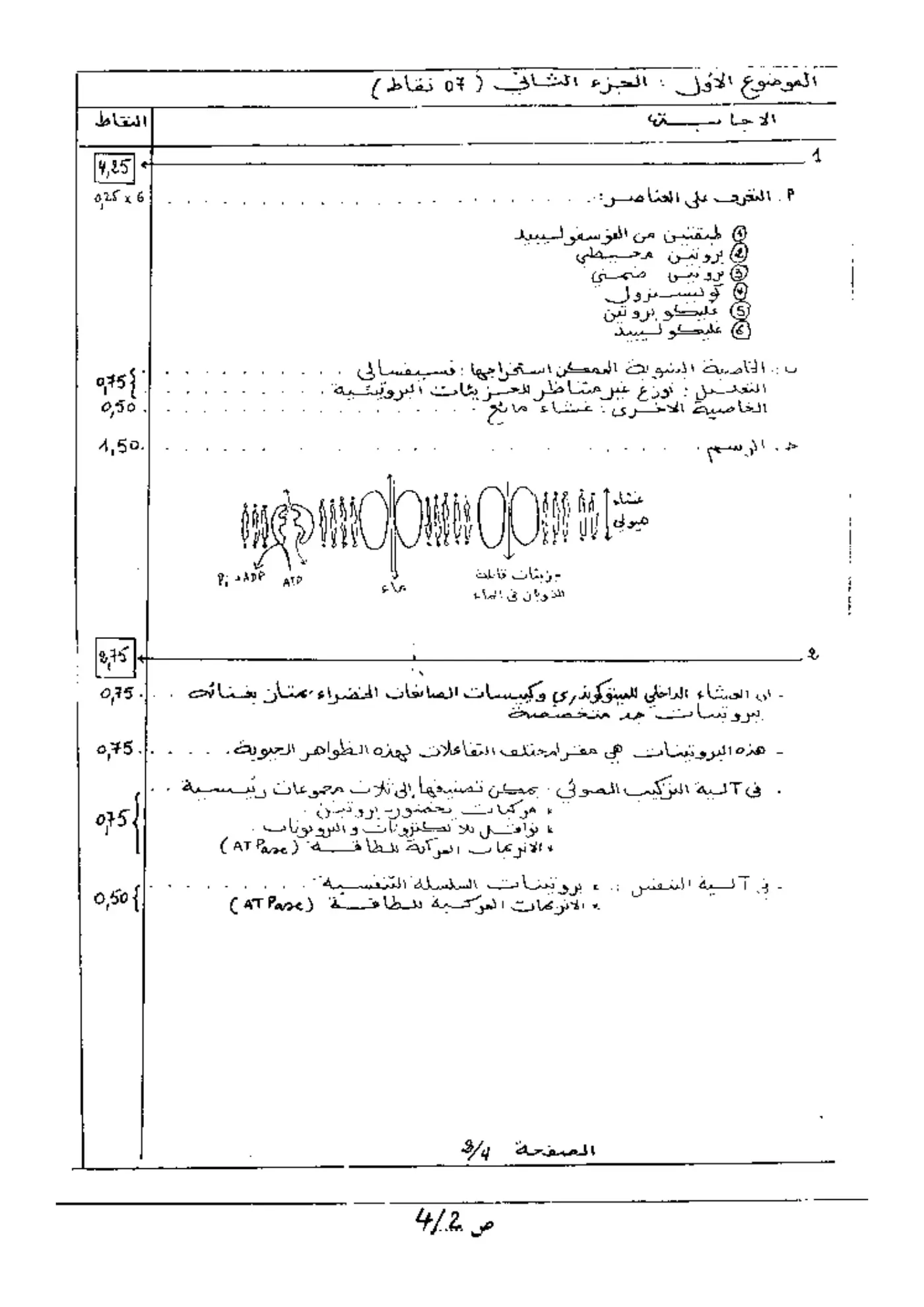 الصفحة 2 من 4