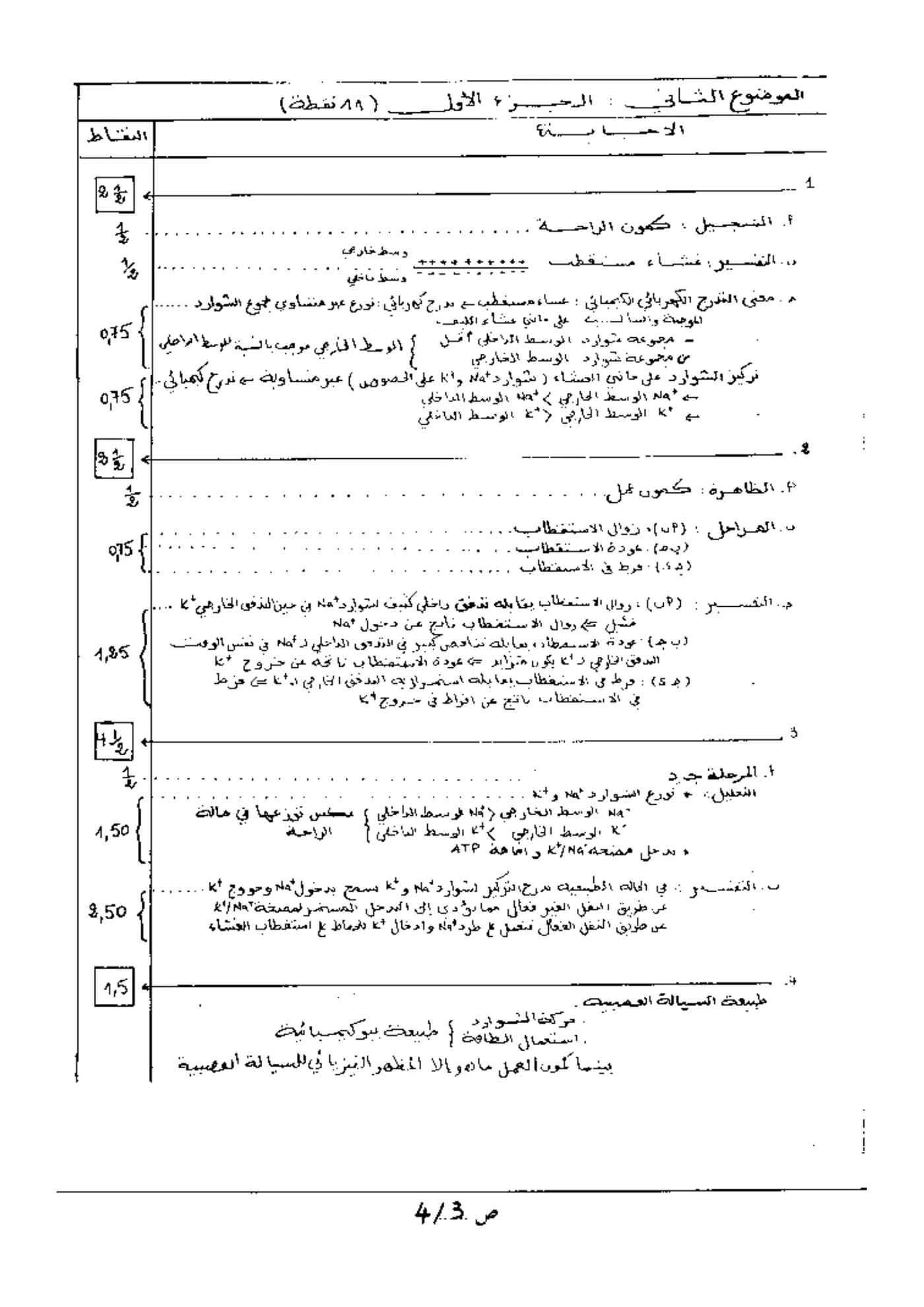 الصفحة 3 من 4