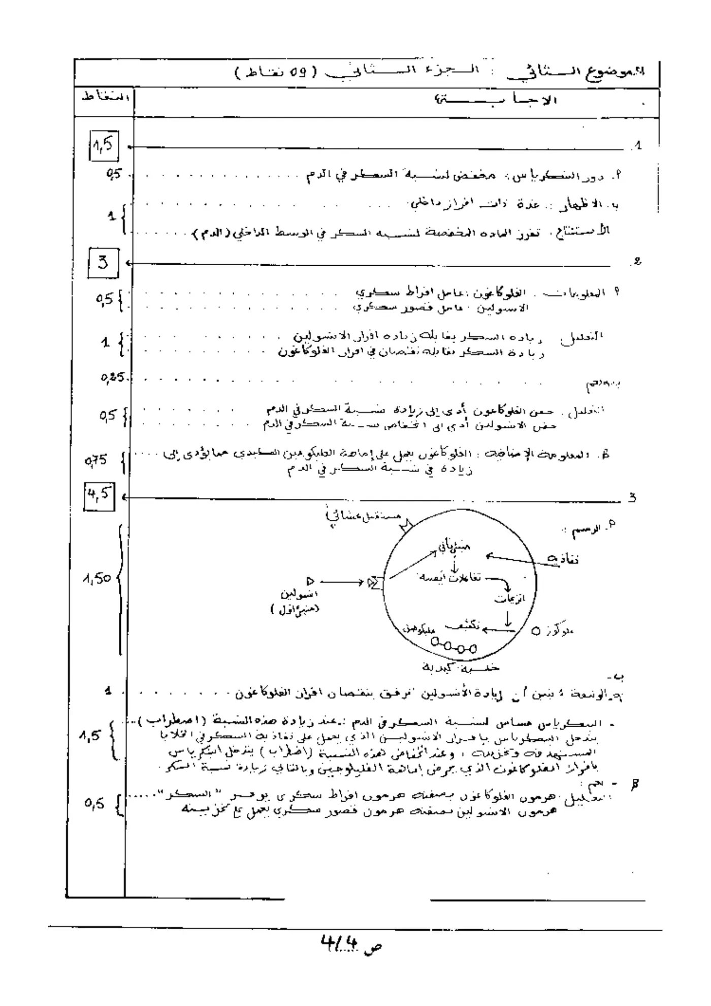 الصفحة 4 من 4