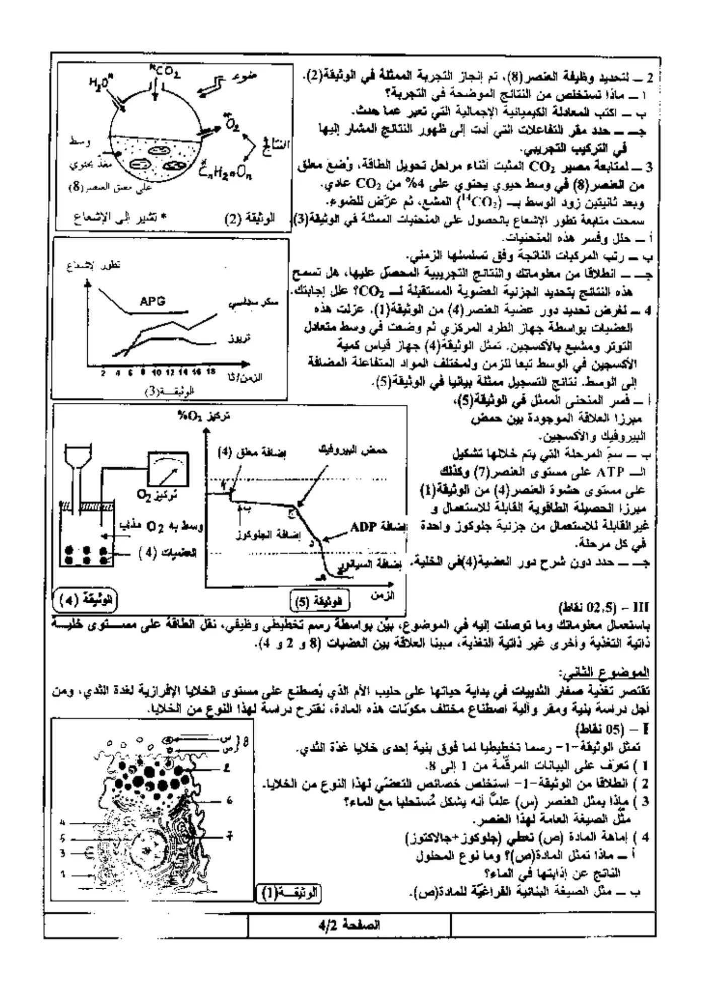 الصفحة 2 من 4