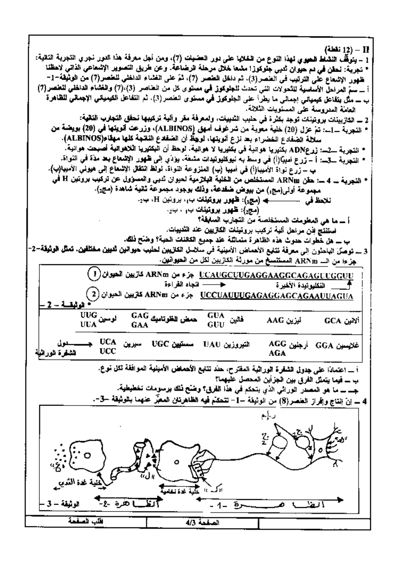 الصفحة 3 من 4