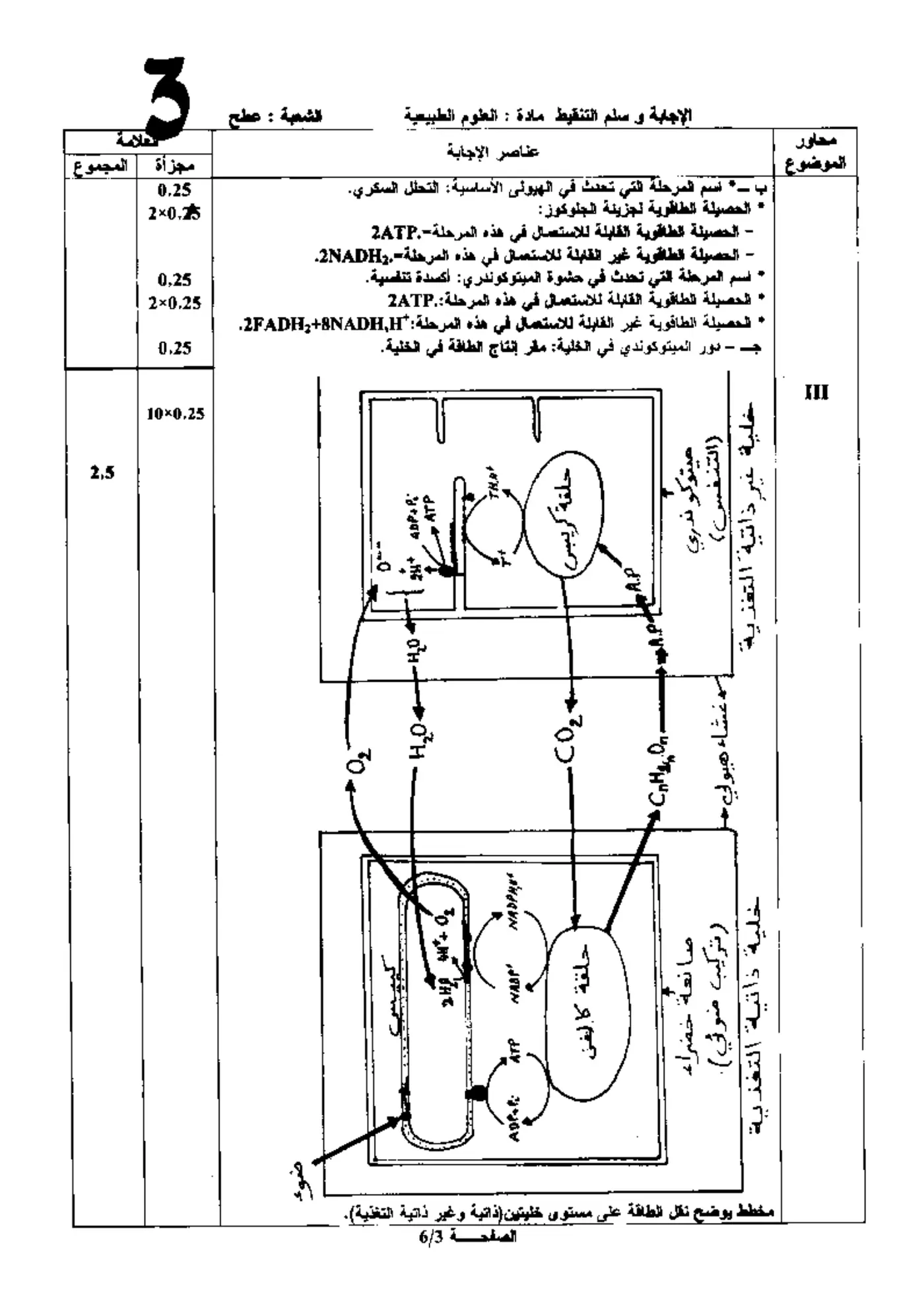 الصفحة 3 من 6